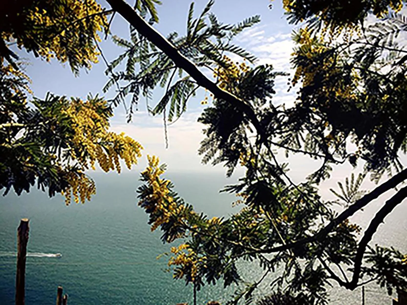 On site in L'Antico Borgo Dei Limoni