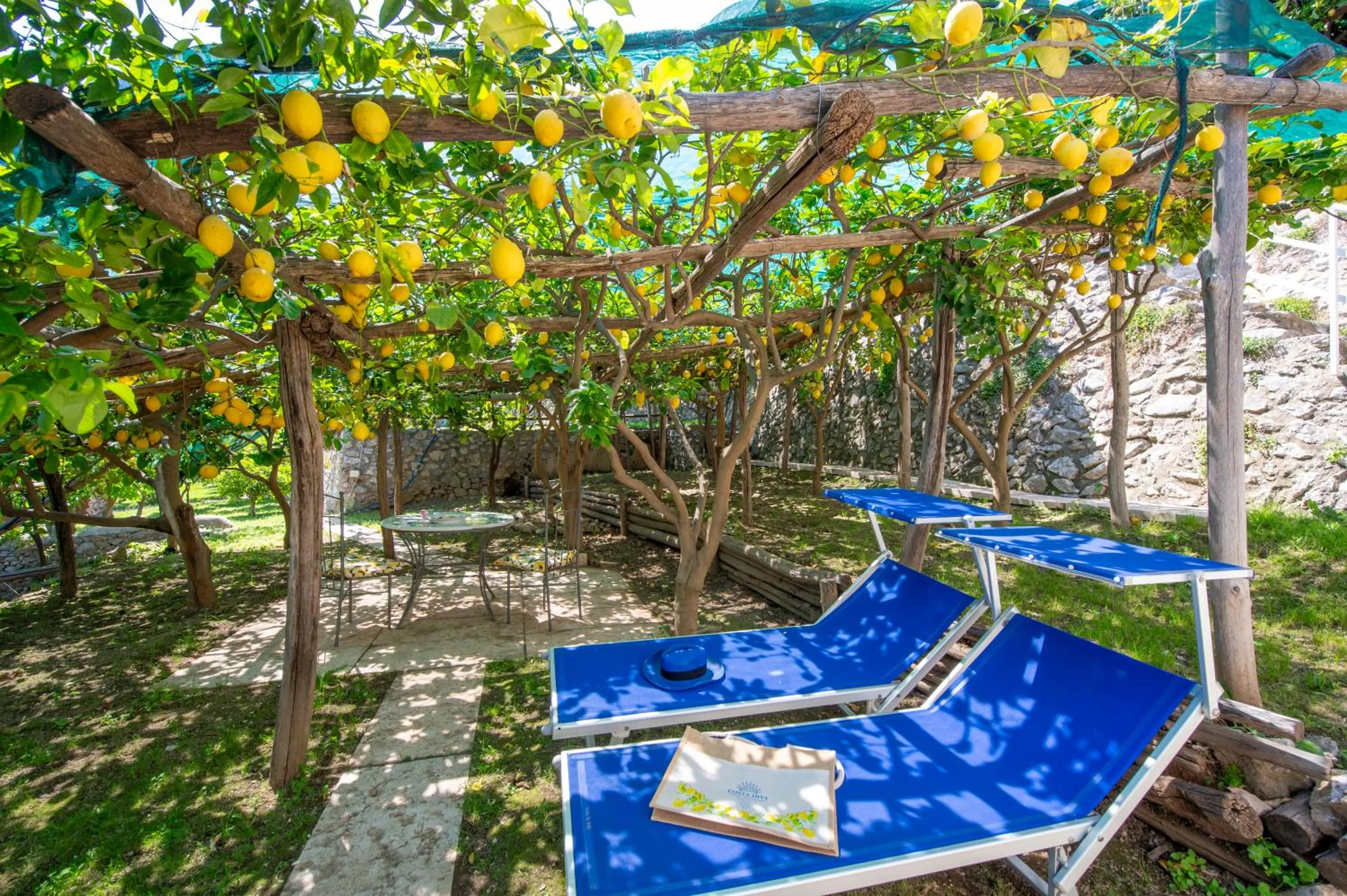 Garden view in Hotel Costa Diva