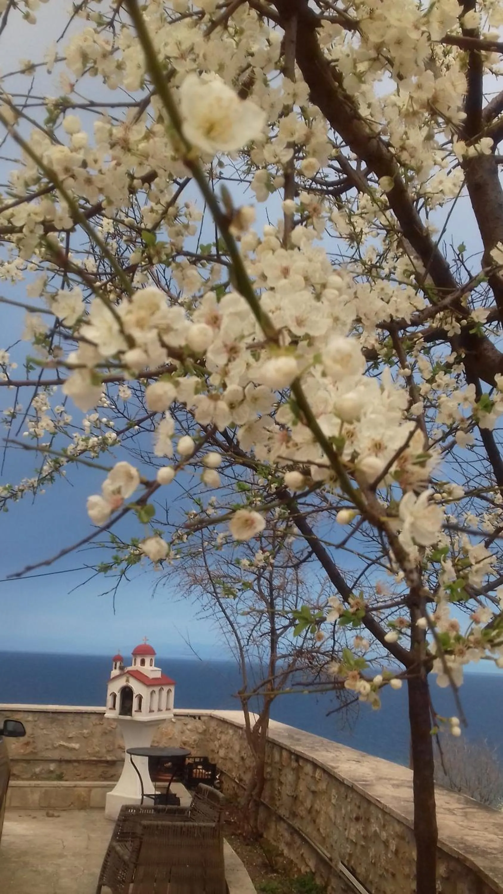 Neighbourhood in Aegean Blue Studios