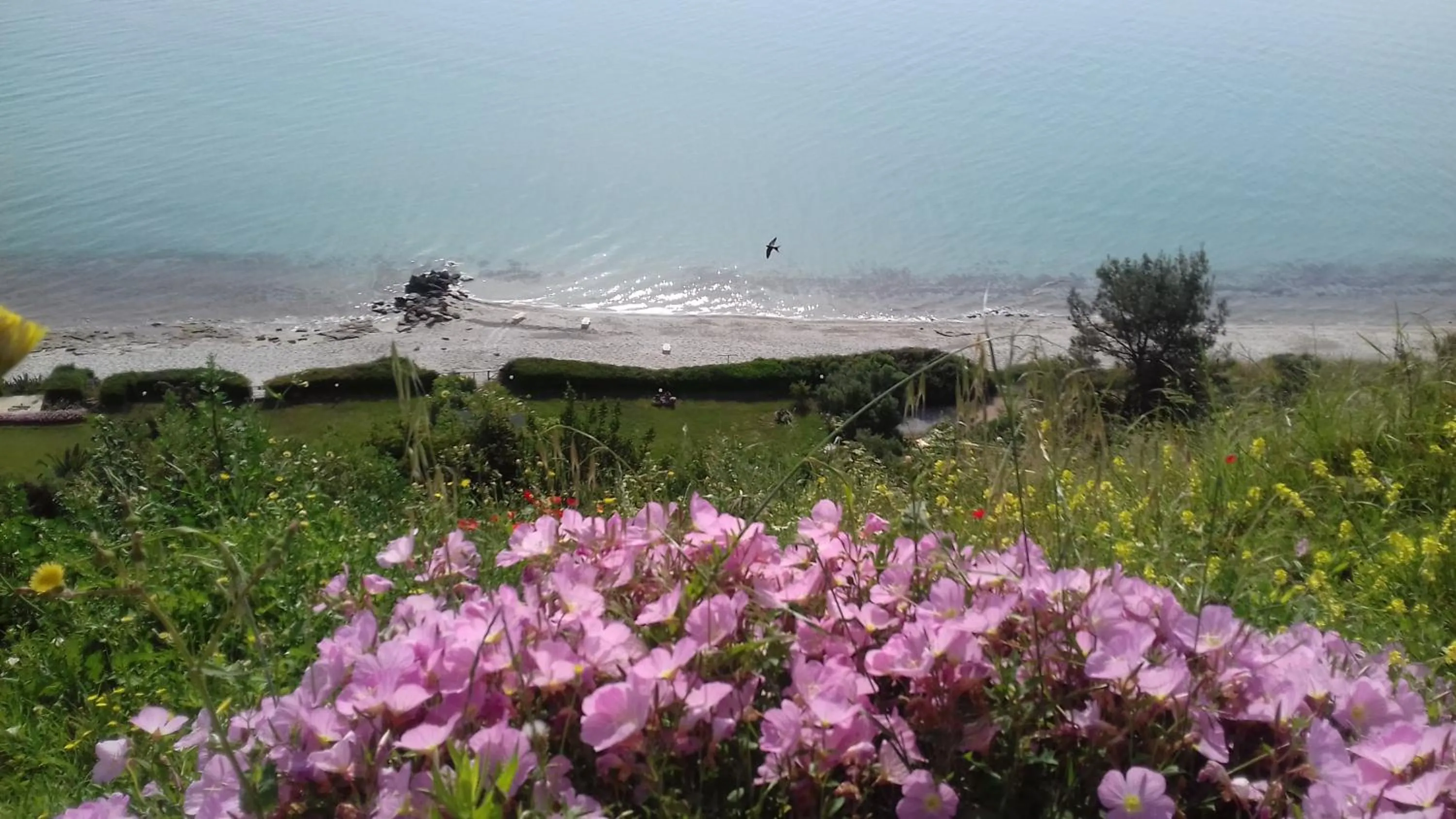 Sea view in Aegean Blue Studios