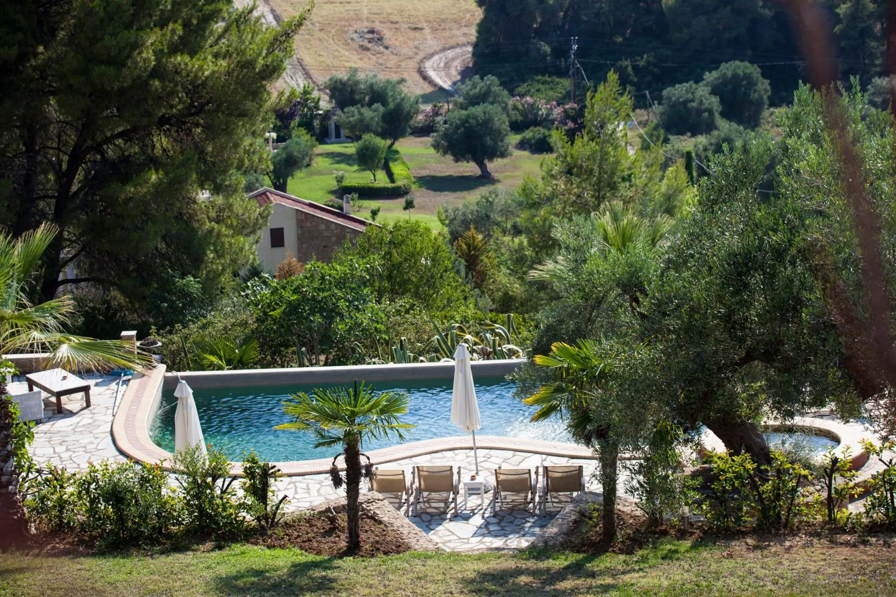 Garden in Sanidiamonds