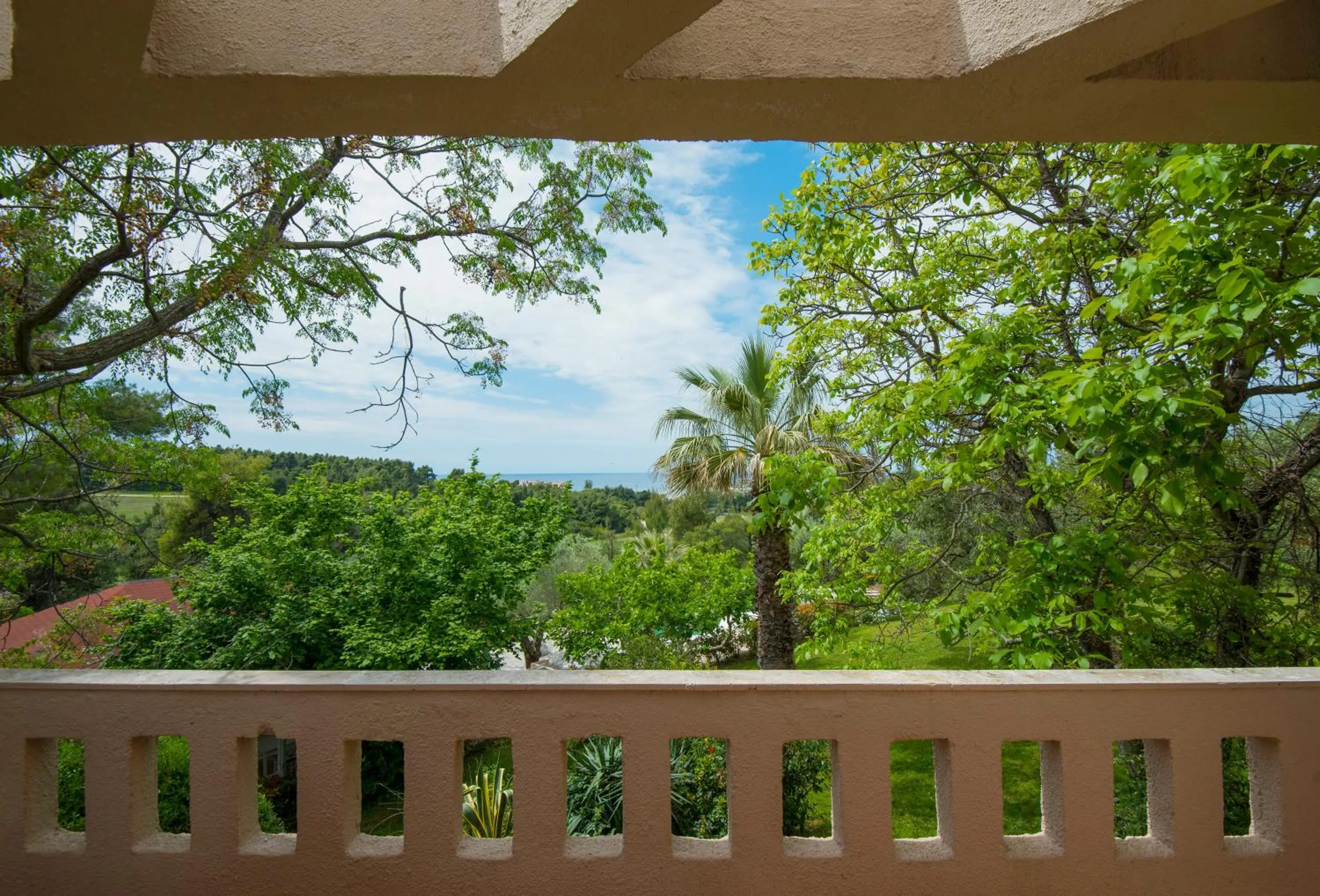 Garden in Sanidiamonds