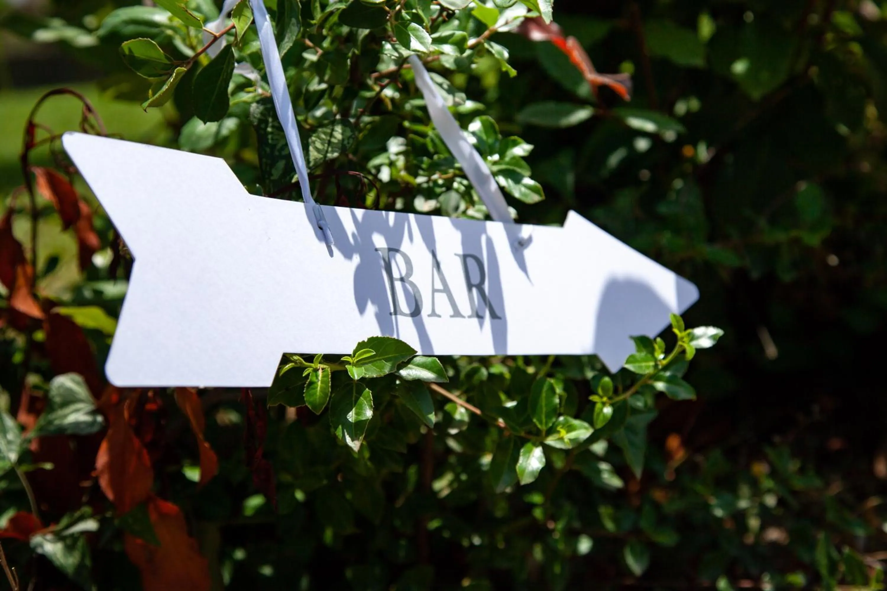 Area and facilities in Sanidiamonds