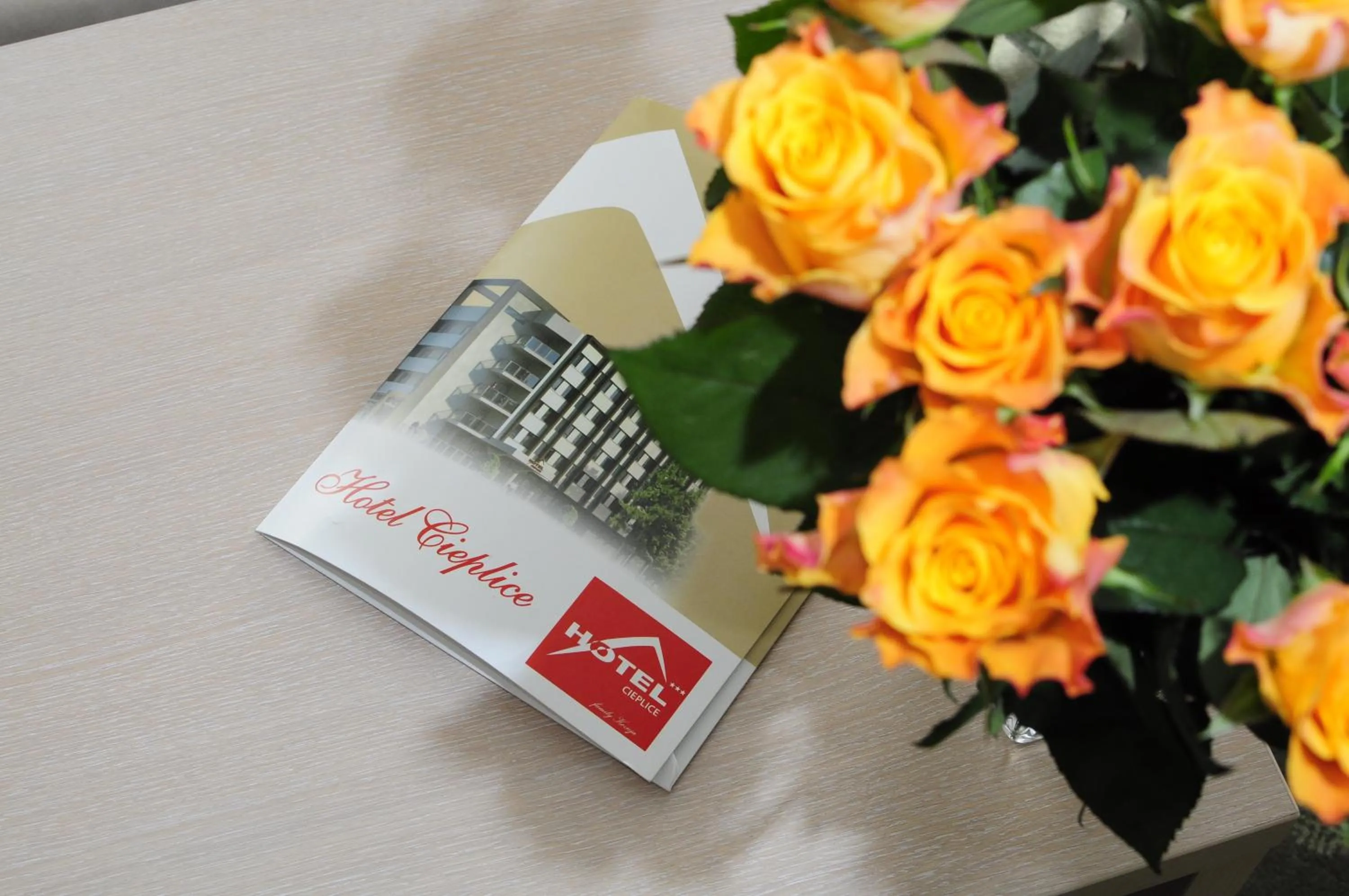 Decorative detail in Hotel Cieplice MEDI & SPA