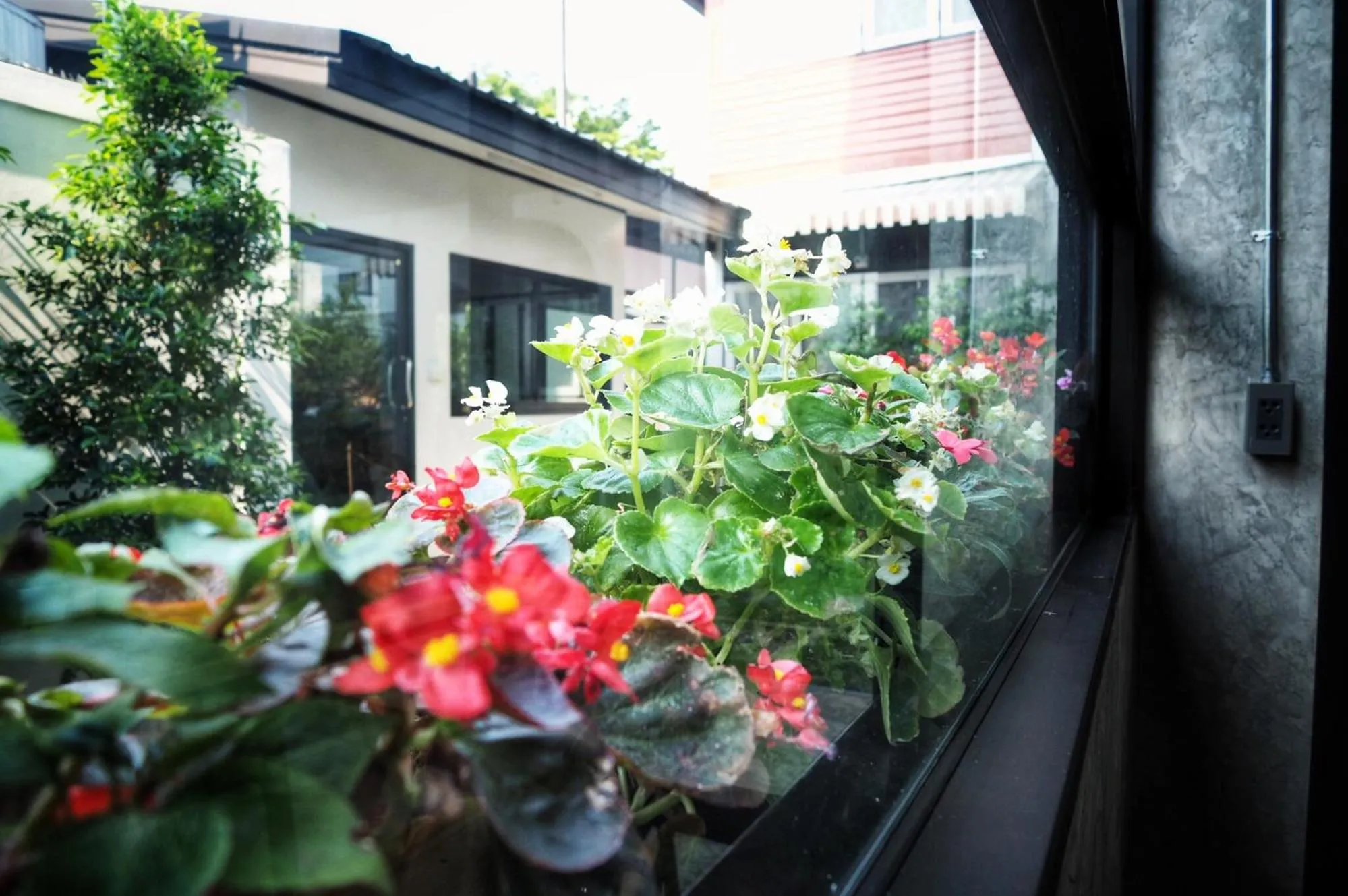 Garden in Na BaanYa Chiang Mai