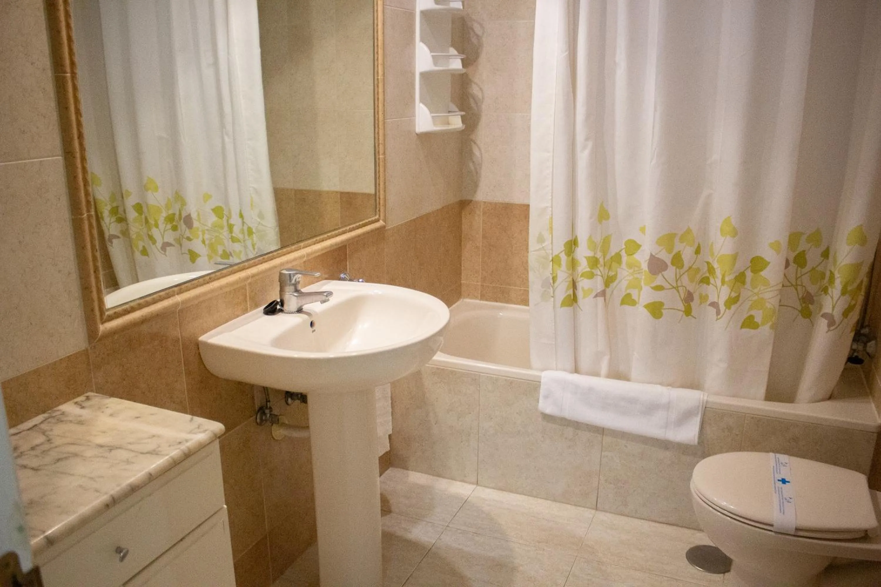 Toilet in Apartamentos Coral Beach Unitursa