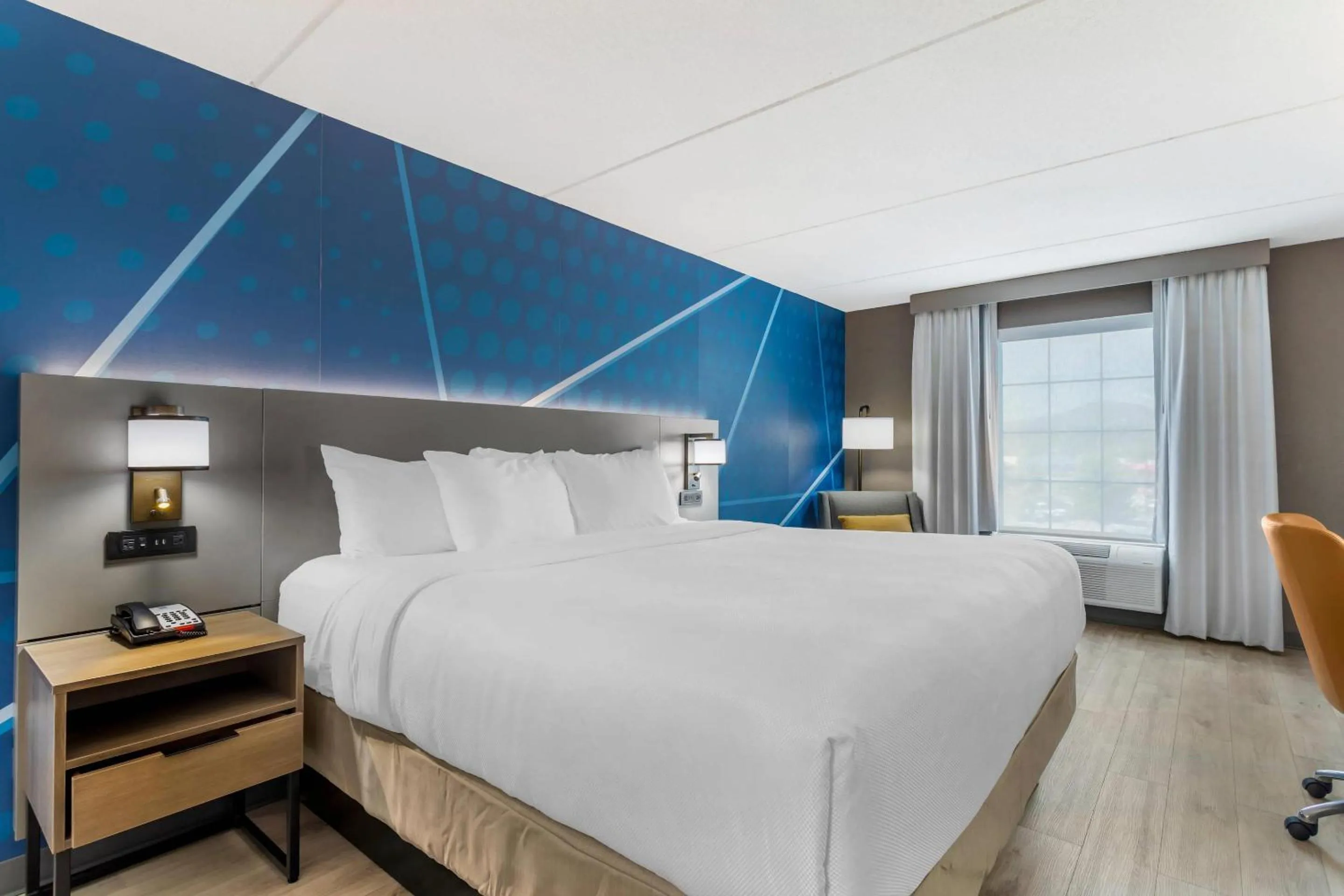 Bedroom in Comfort Inn Oak Ridge - Knoxville