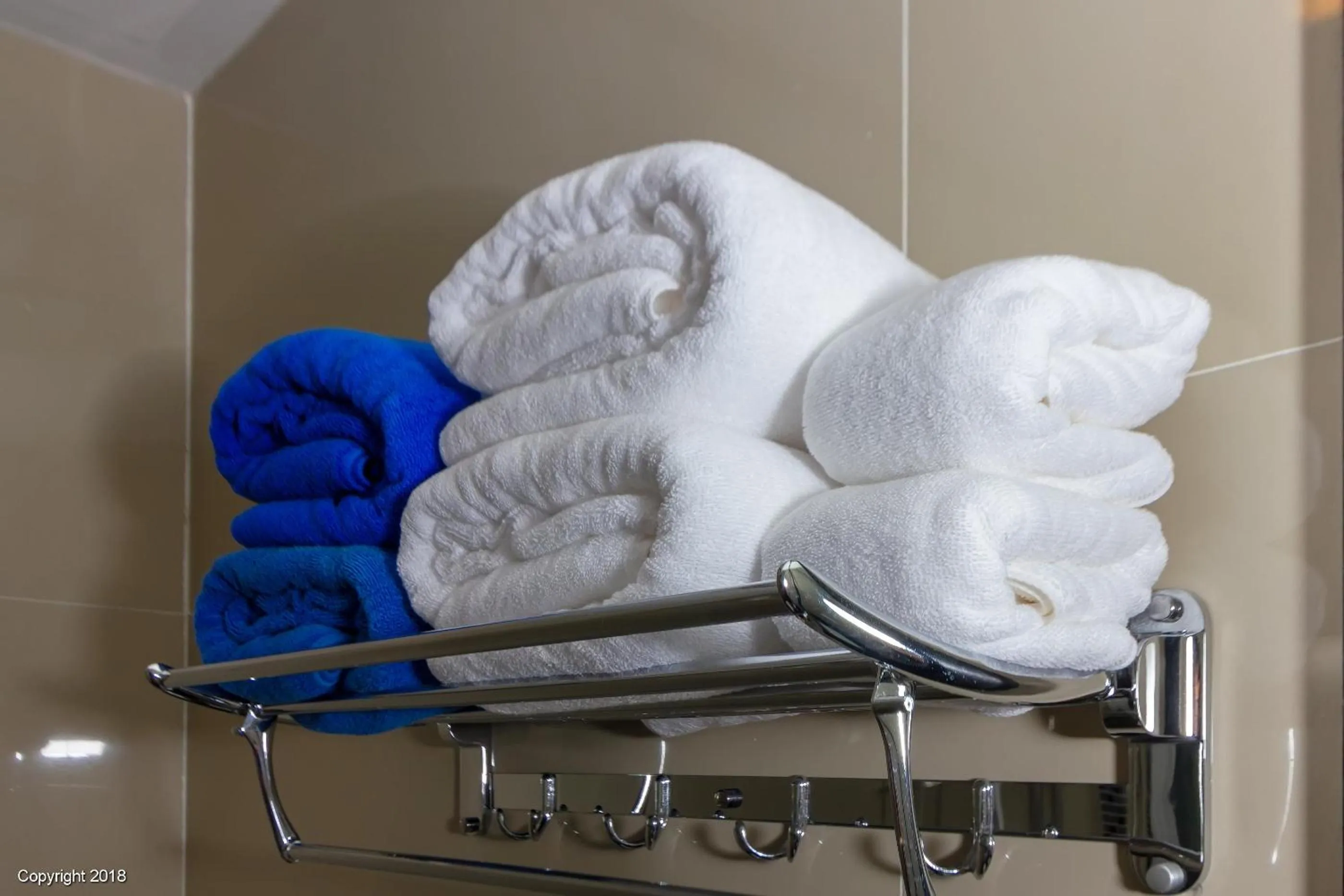 Shower in Modern Living Residence