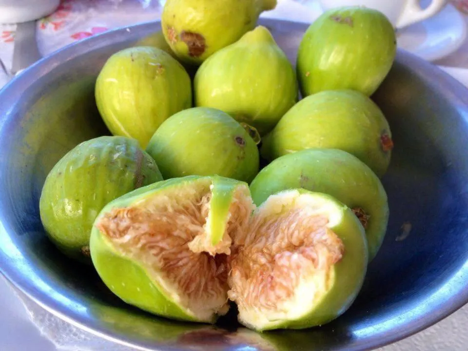 Food in villa damecuta B&B