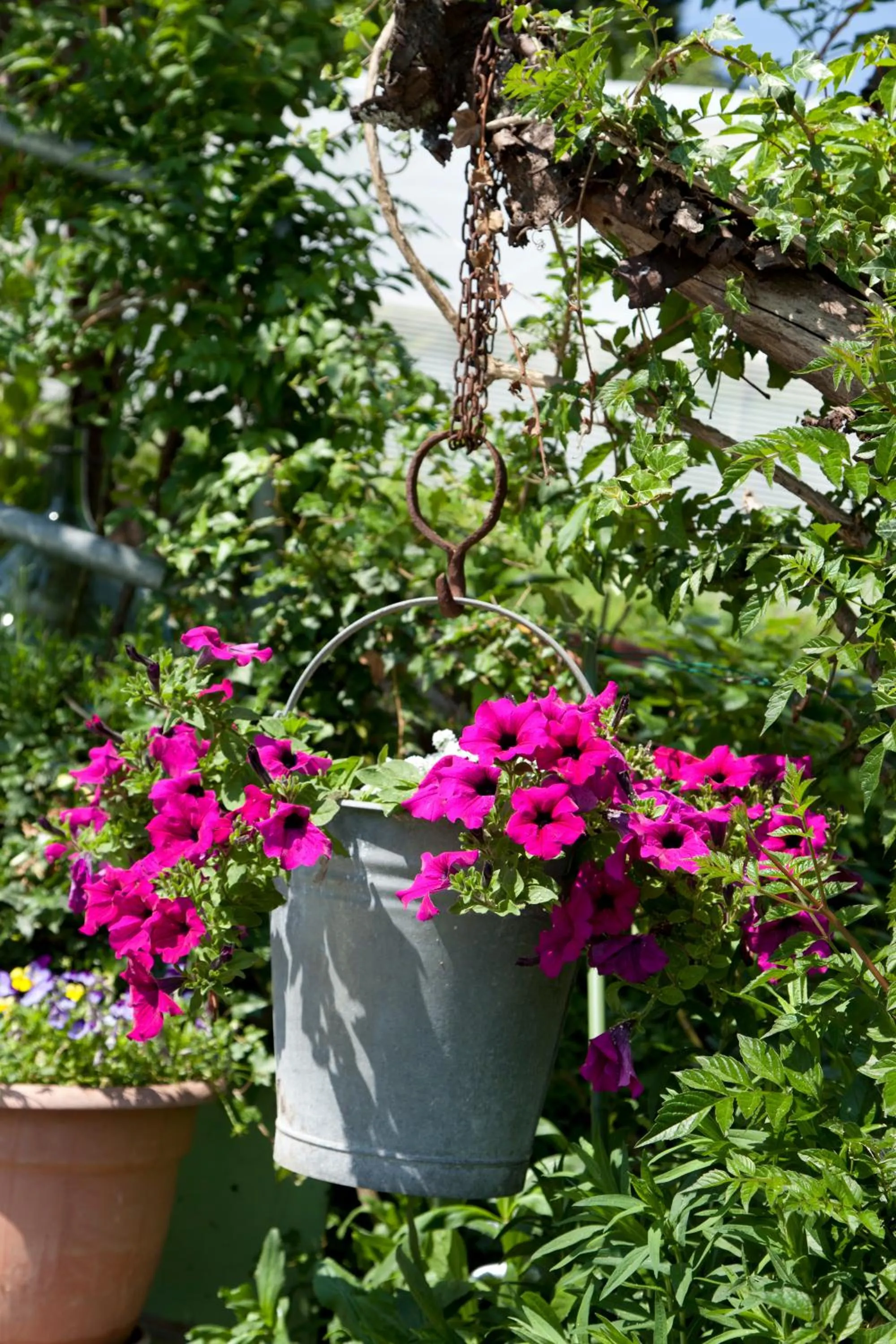 Natural landscape in Locanda Senio