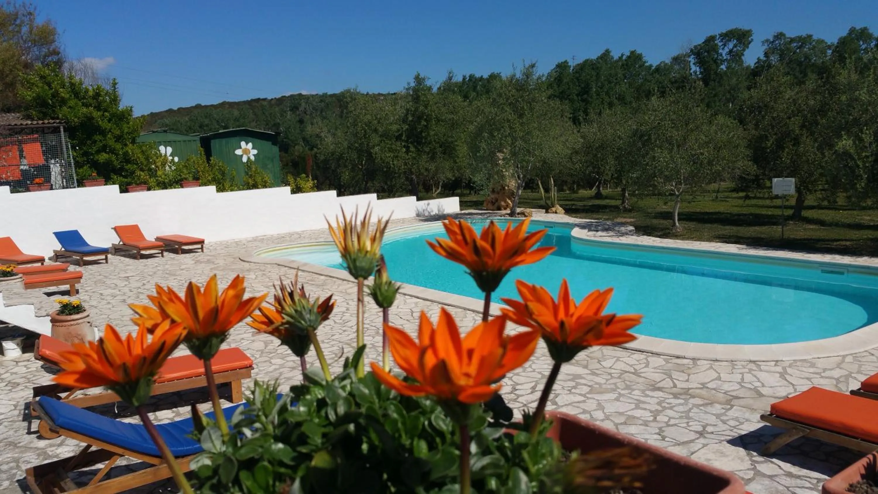 Swimming pool in Il Sogno di Alghero - Adults Only