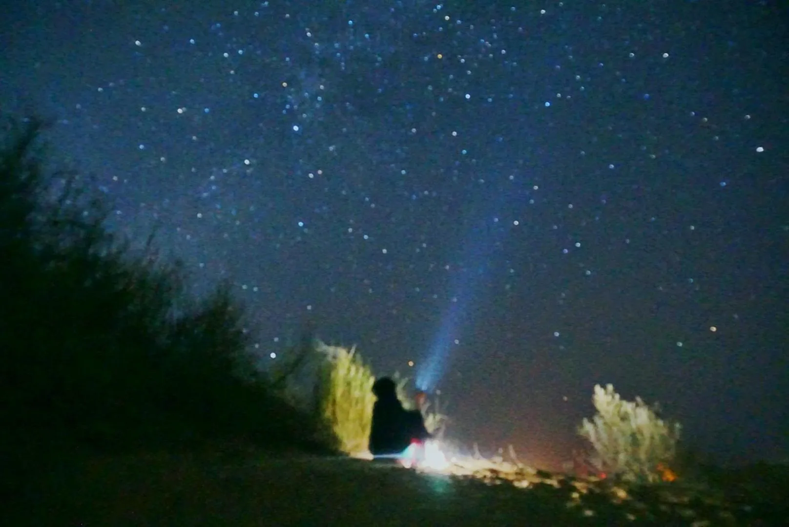 Night in Wonbin Safari Jaisalmer