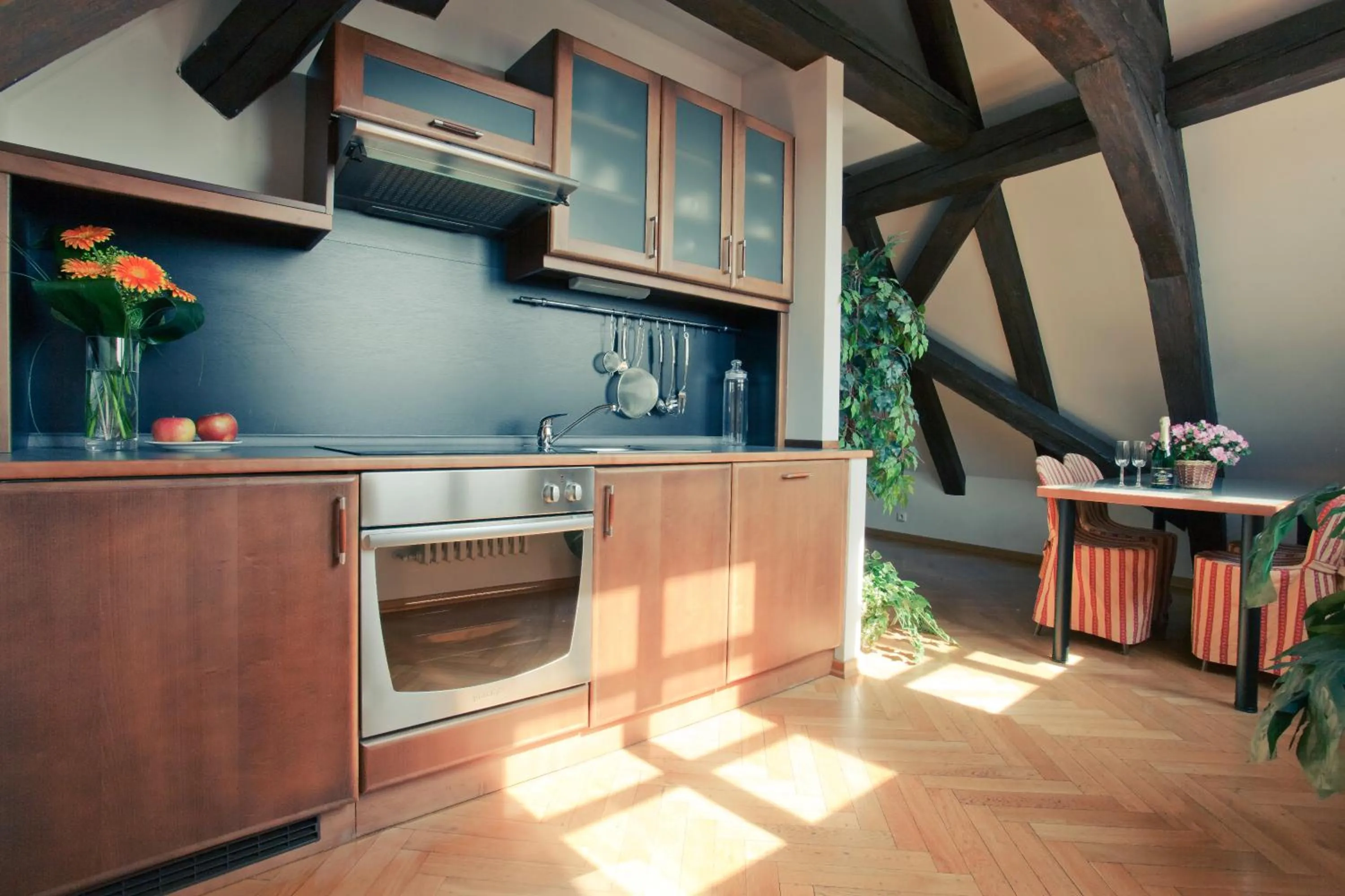 Kitchen or kitchenette in Residence Thunovska