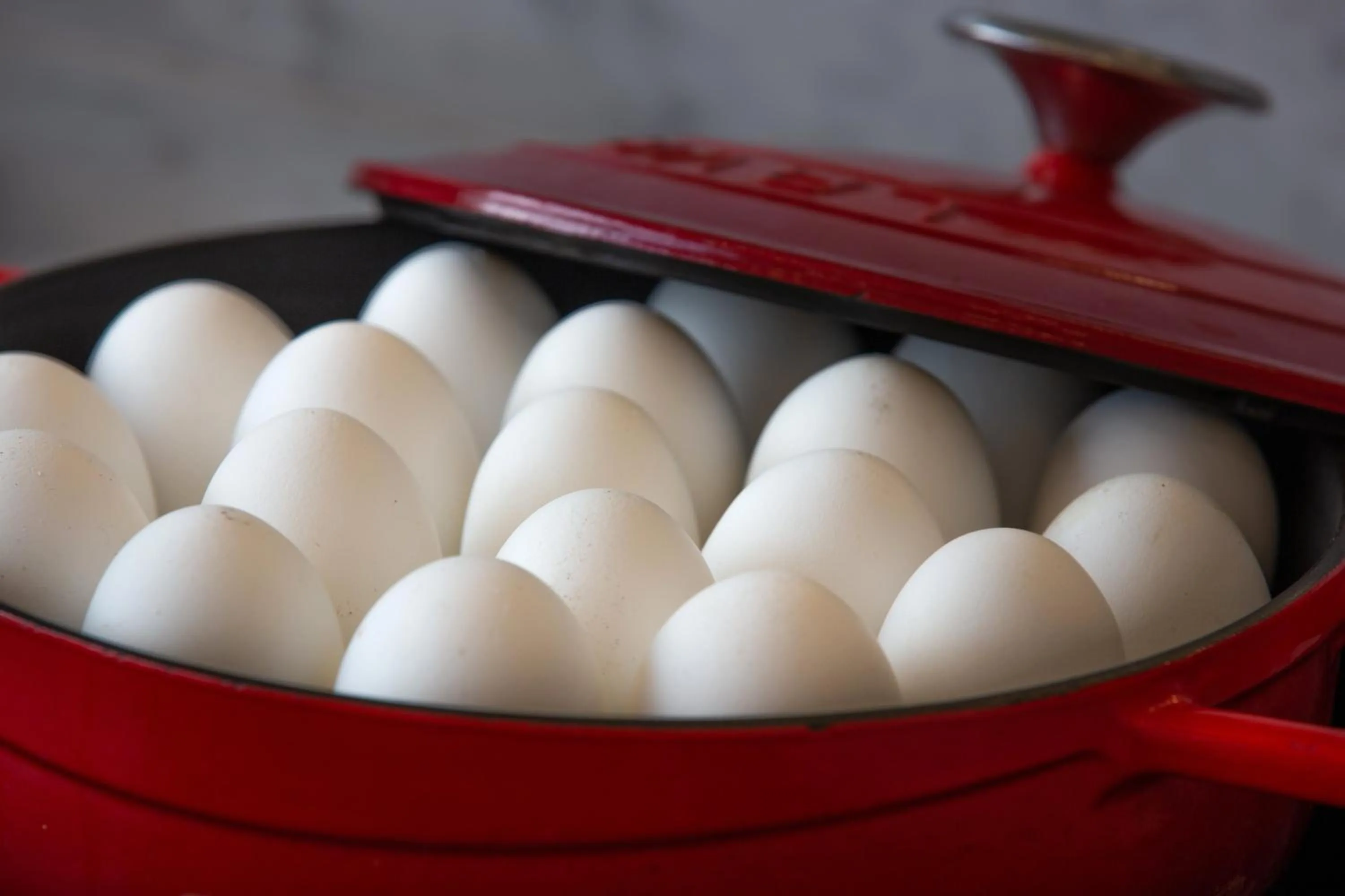 Restaurant/places to eat in Holiday Inn Bengaluru Racecourse by IHG