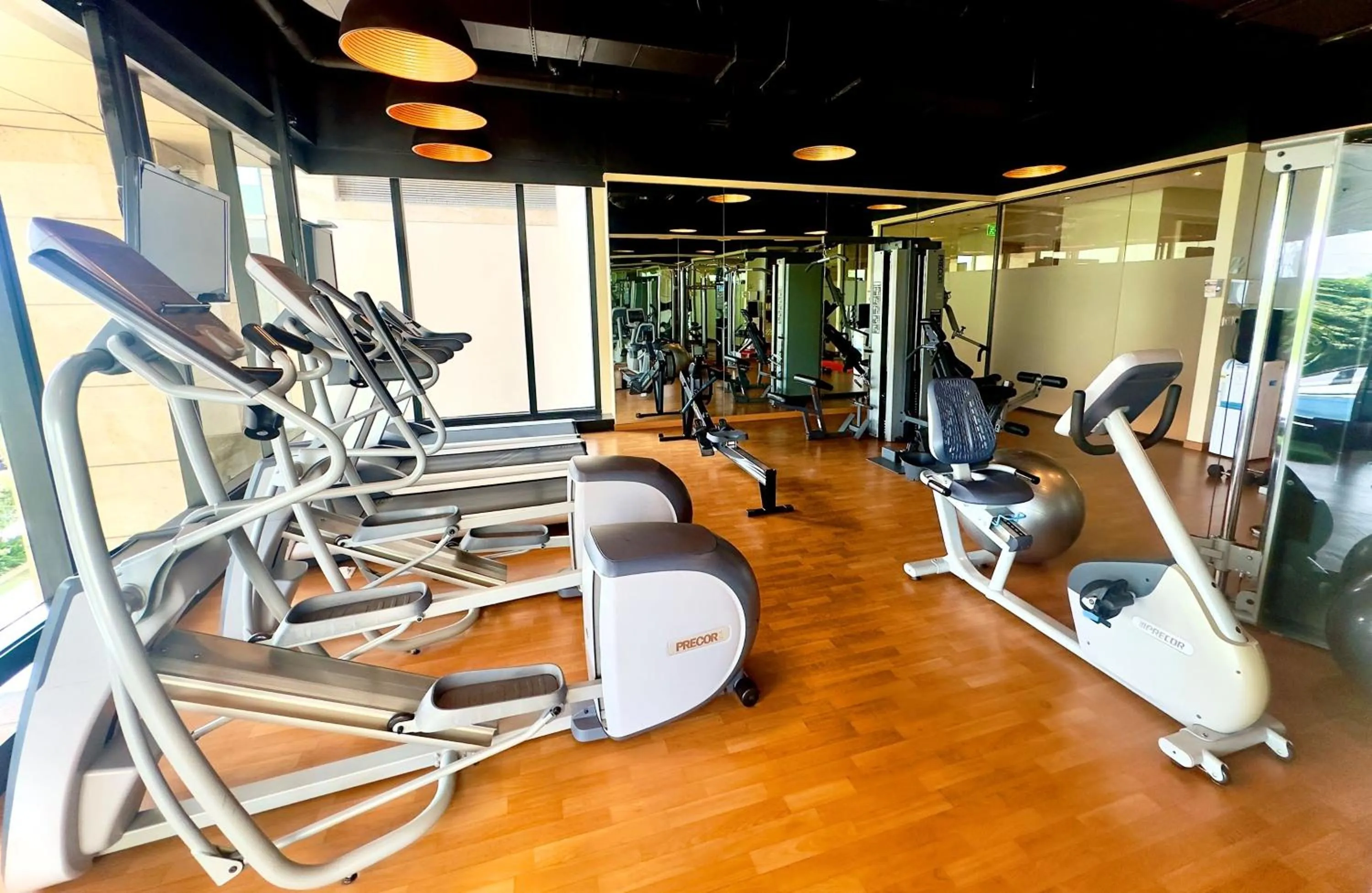 Fitness centre/facilities in Holiday Inn Bengaluru Racecourse by IHG