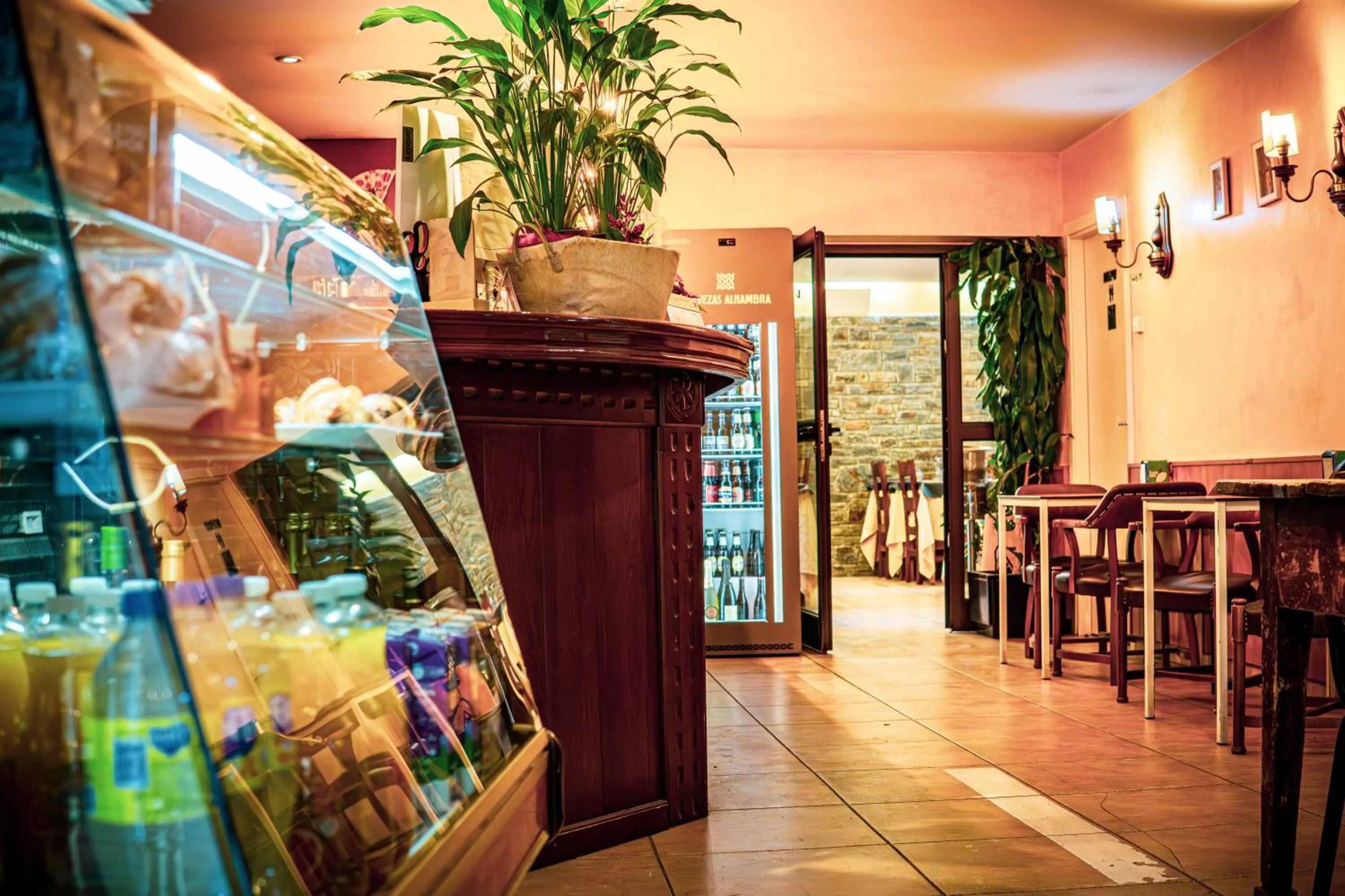 Lounge or bar in Hotel Sucara