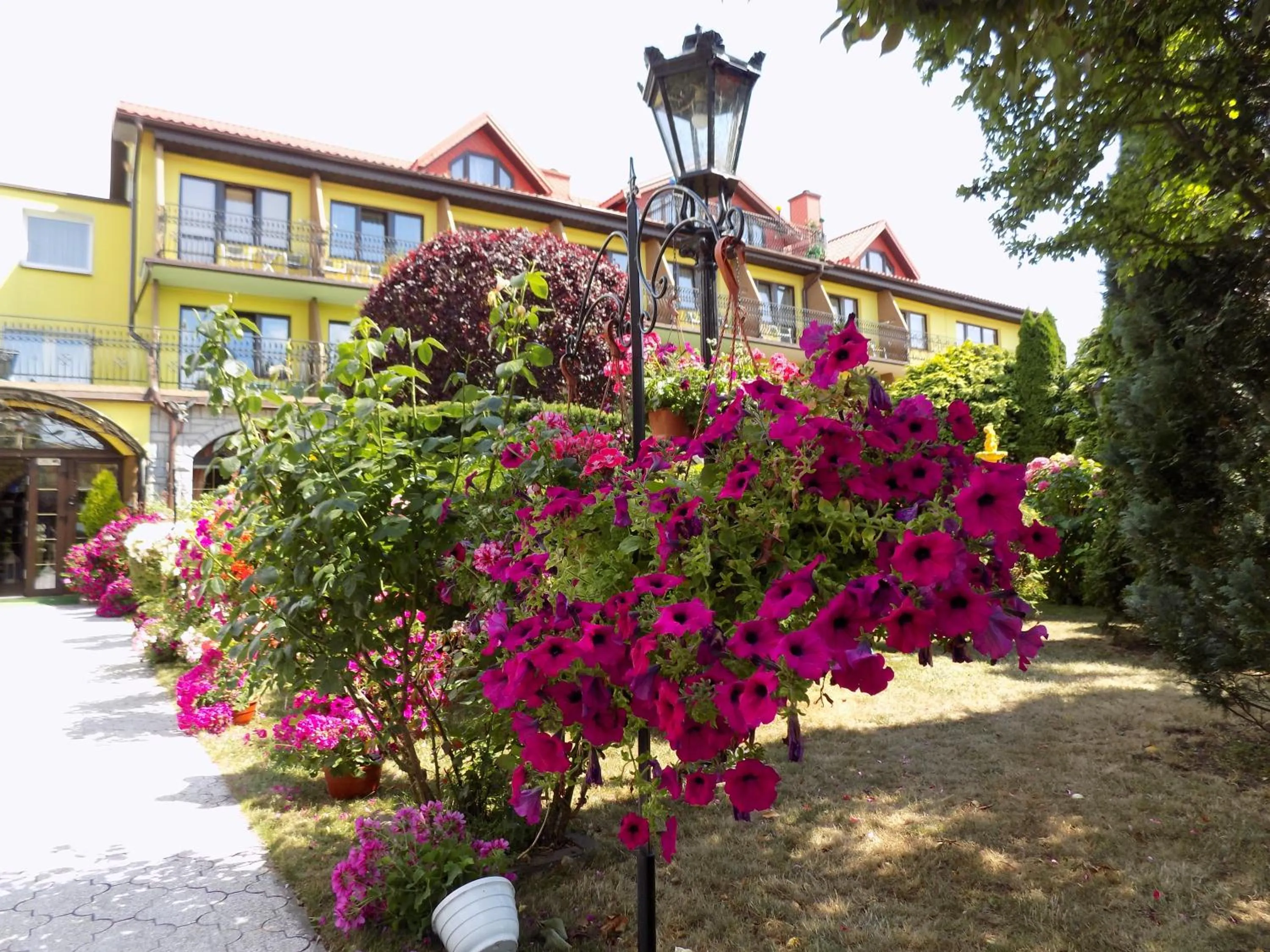 Garden in Pensjonat Angela