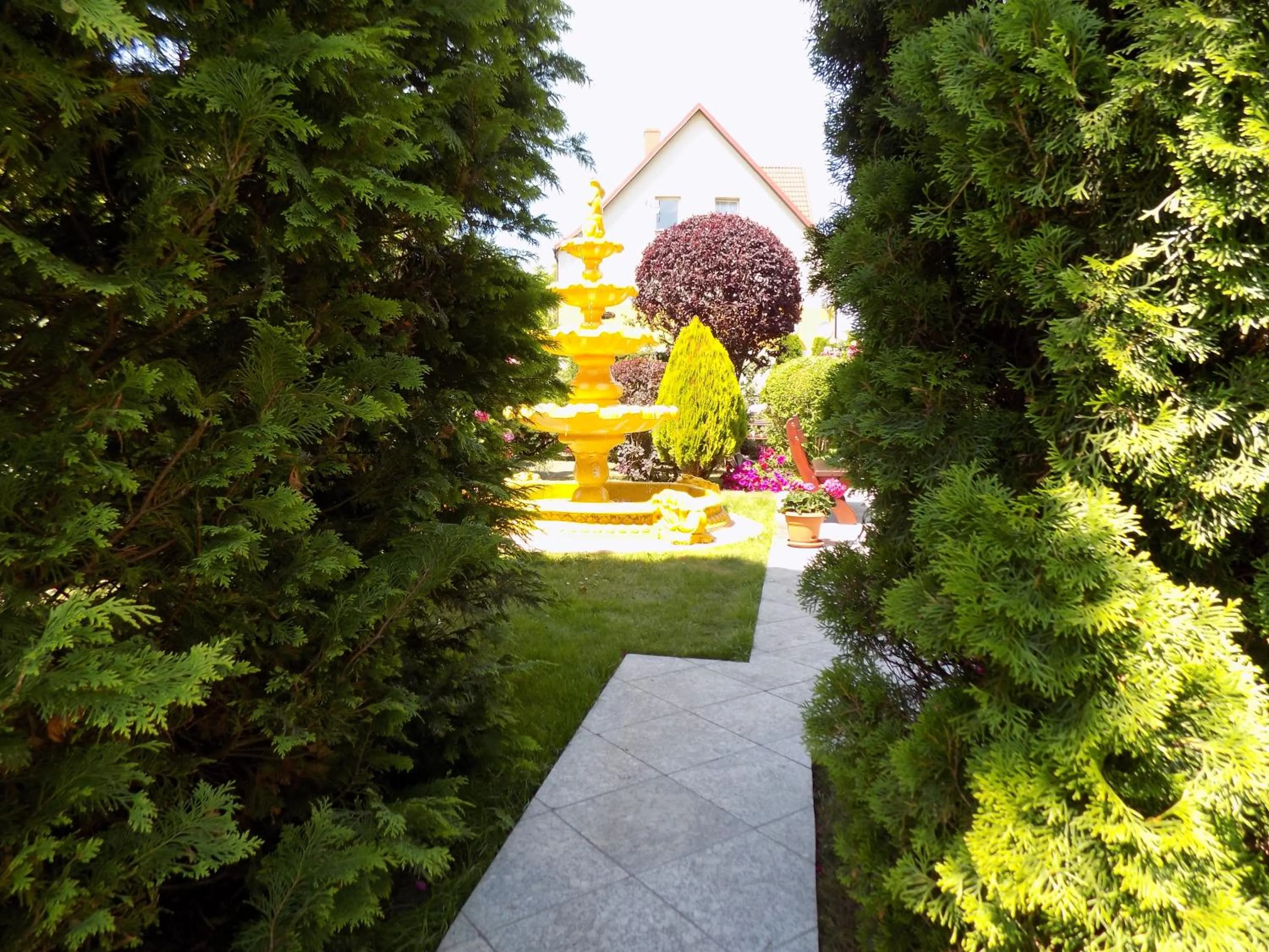 Activities in Pensjonat Angela