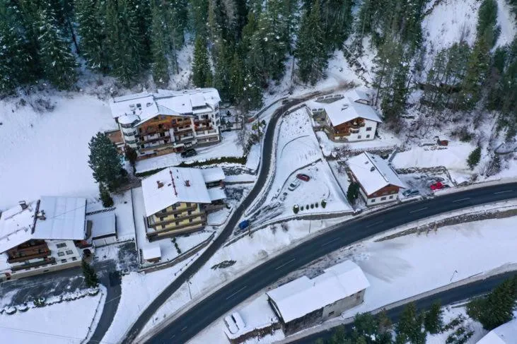 Natural landscape in Hotel Olympia