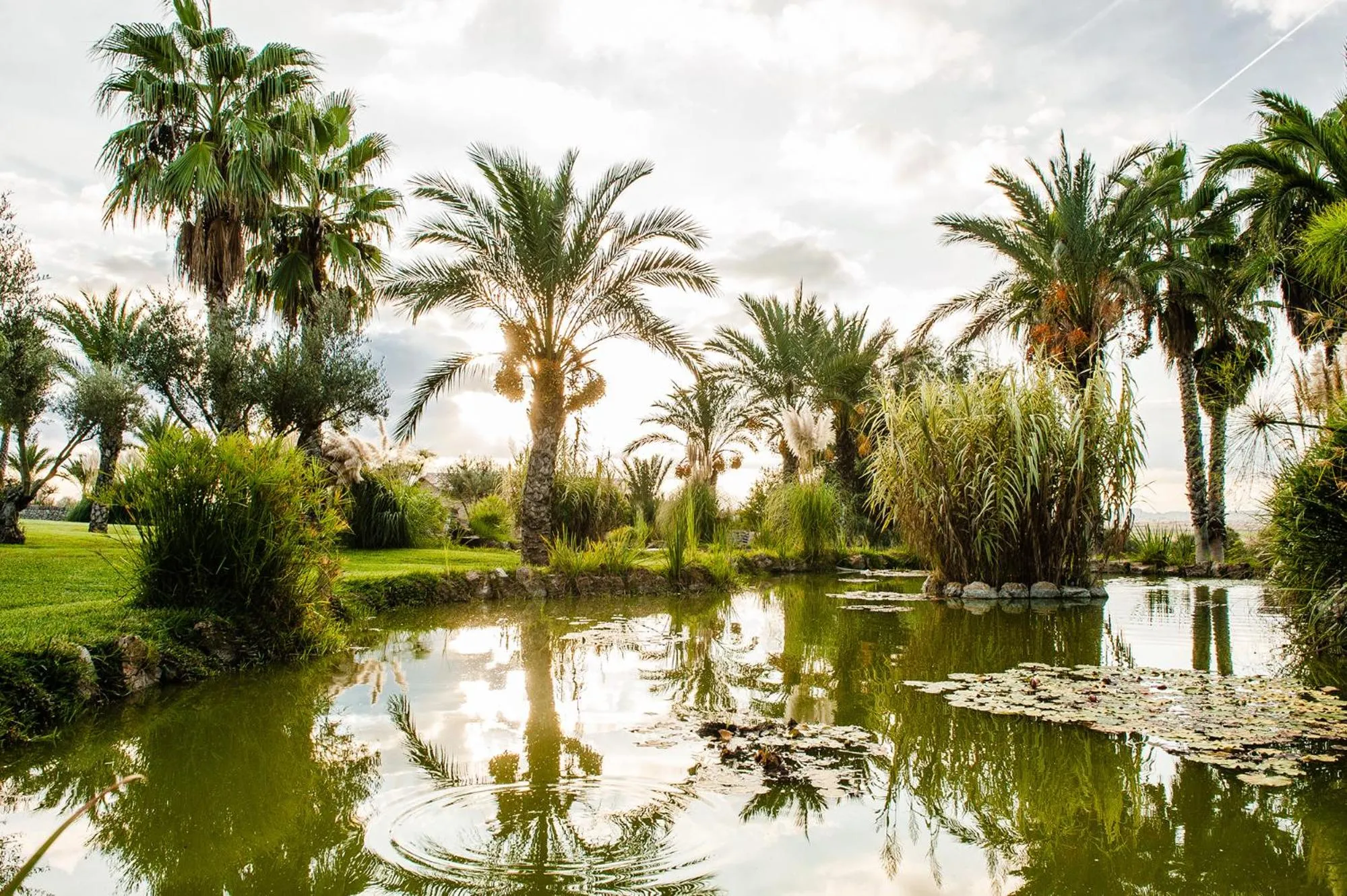 Lake view in Hotel Sa Franquesa Nova