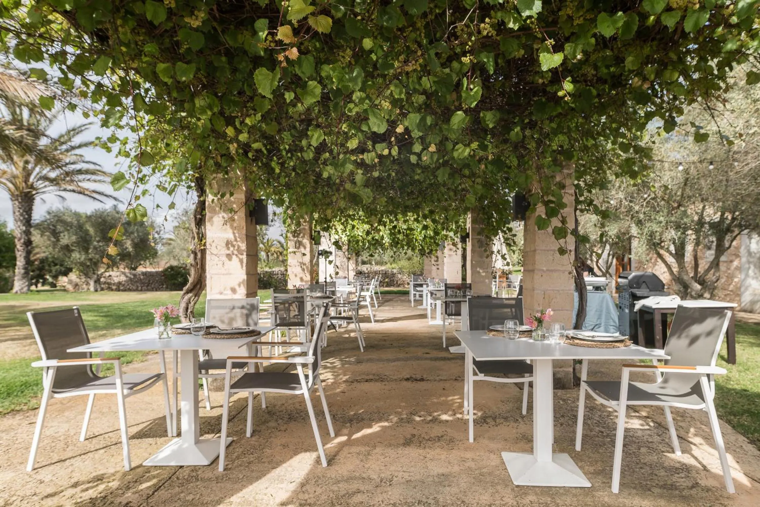 Restaurant/places to eat in Hotel Sa Franquesa Nova