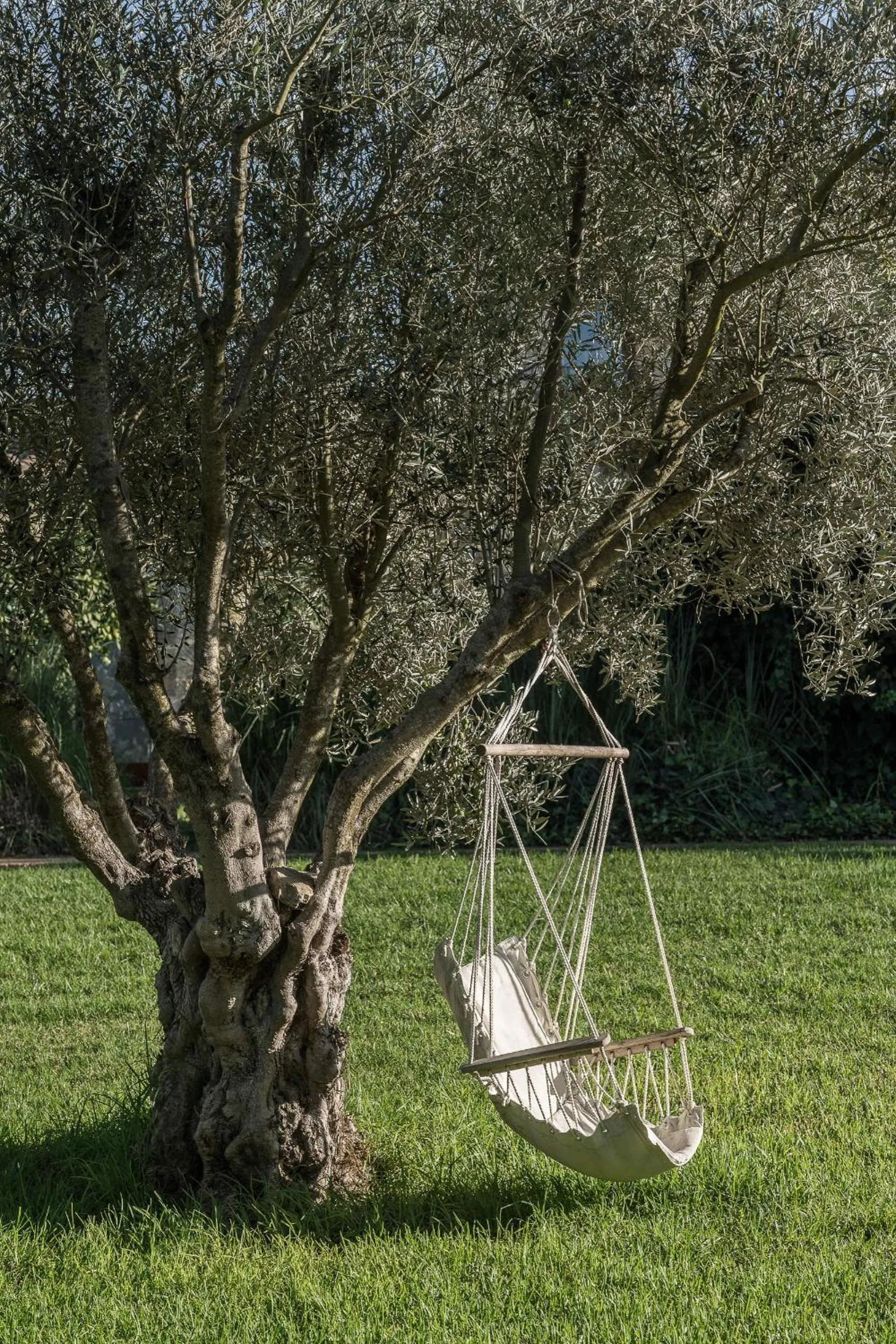 Natural landscape in Hotel Sa Franquesa Nova