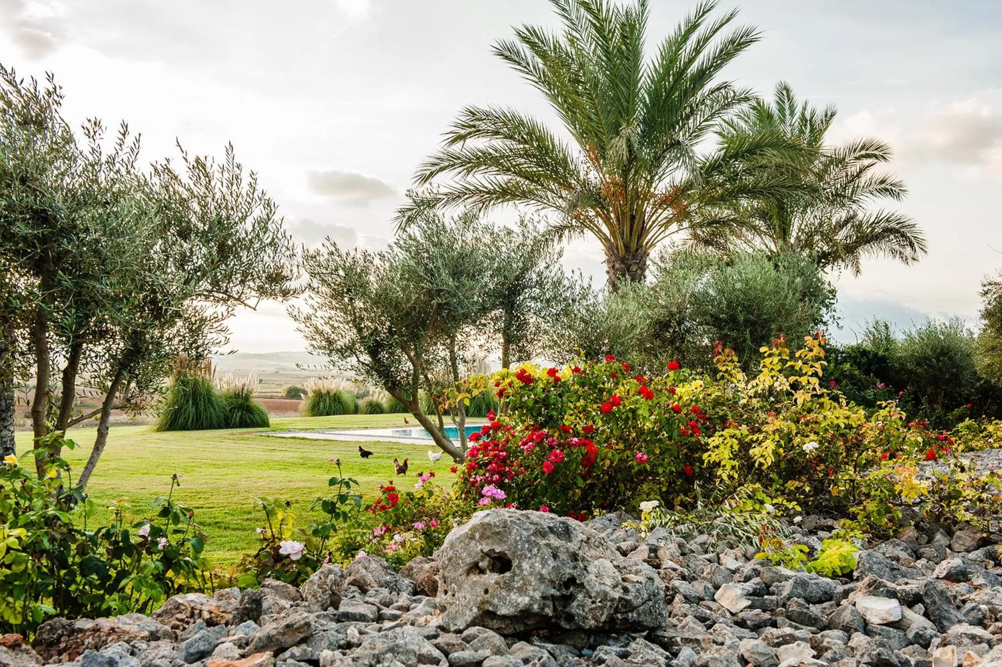 Natural landscape in Hotel Sa Franquesa Nova