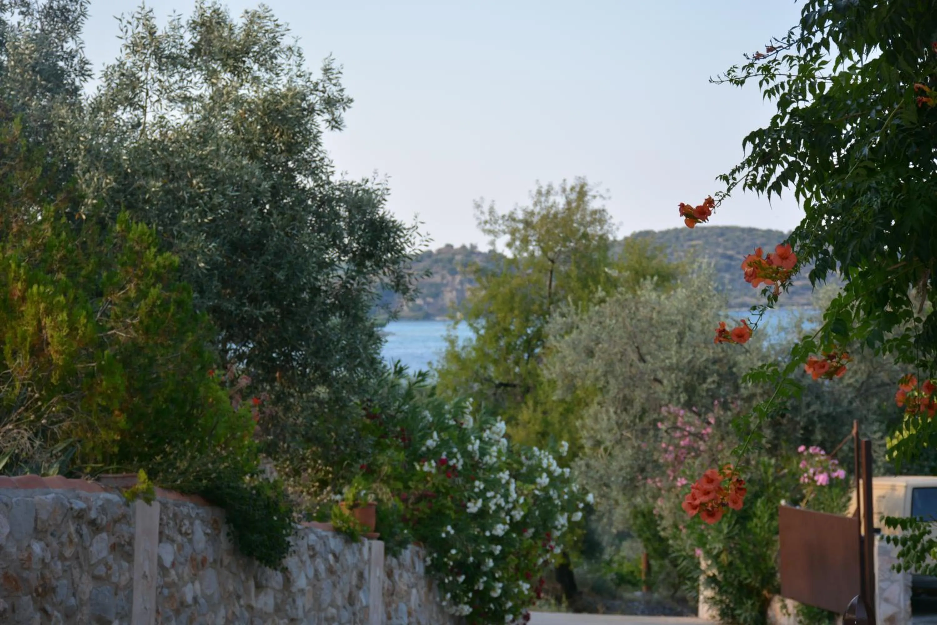 Property building in Aristotelis