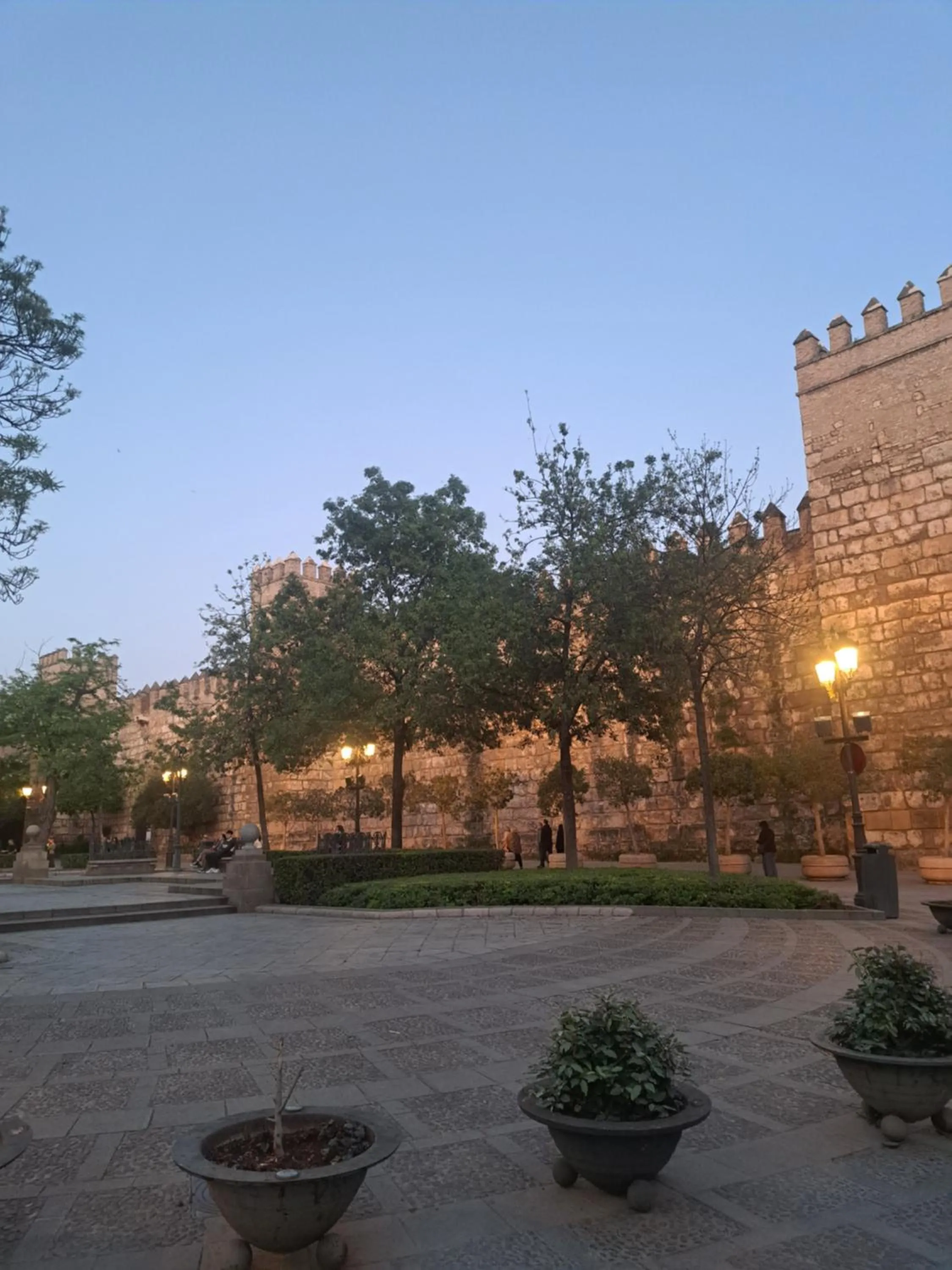 Apartamentos Flamenco B&B