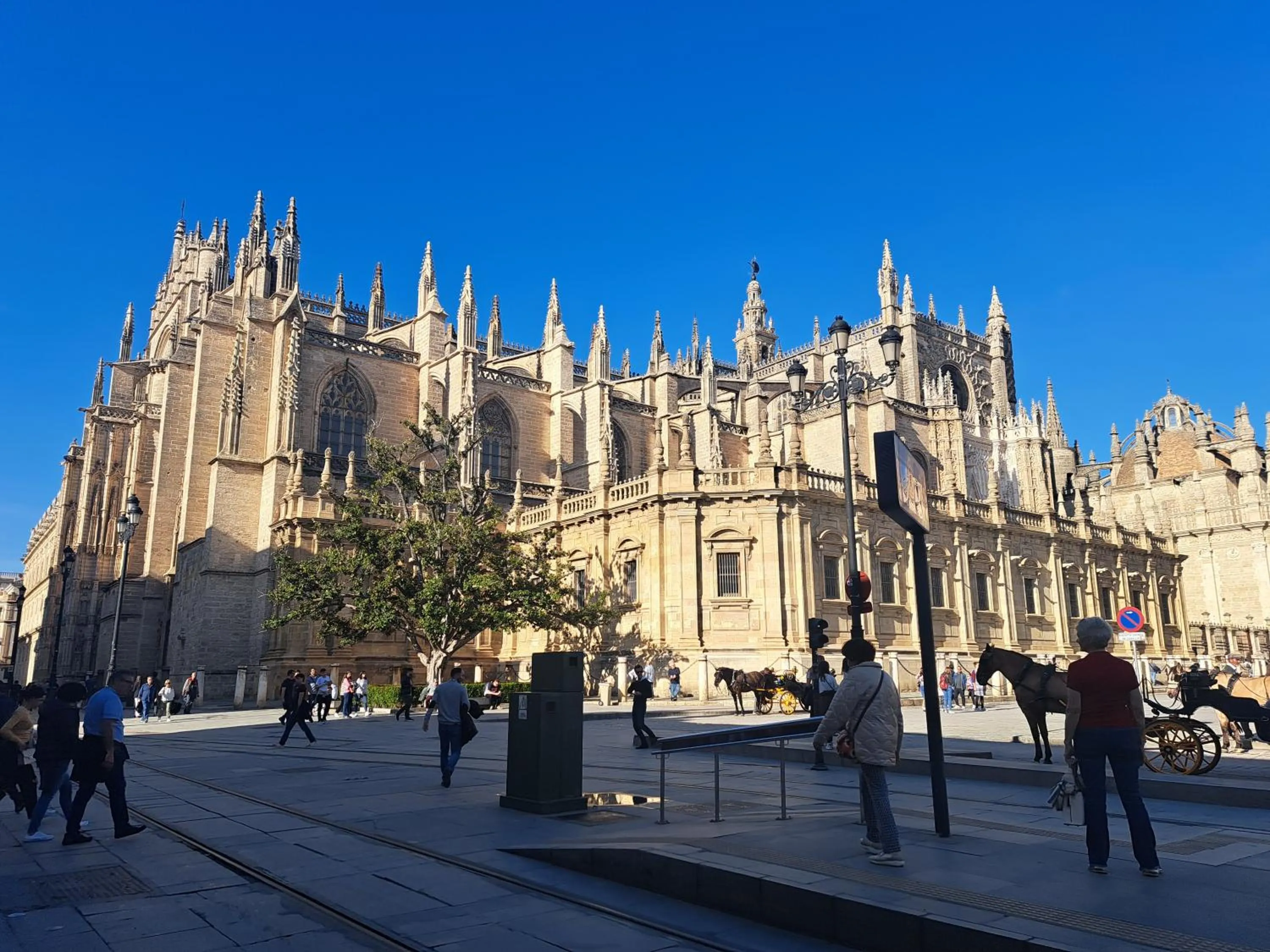 Apartamentos Flamenco B&B