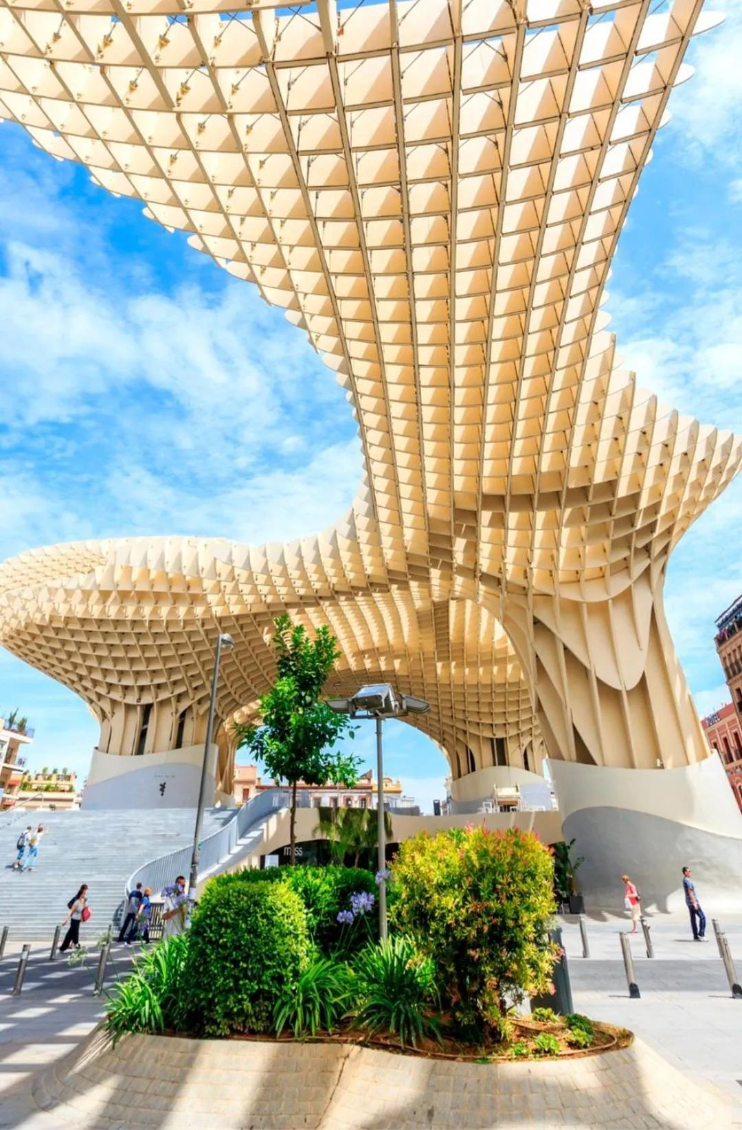 Apartamentos Flamenco B&B