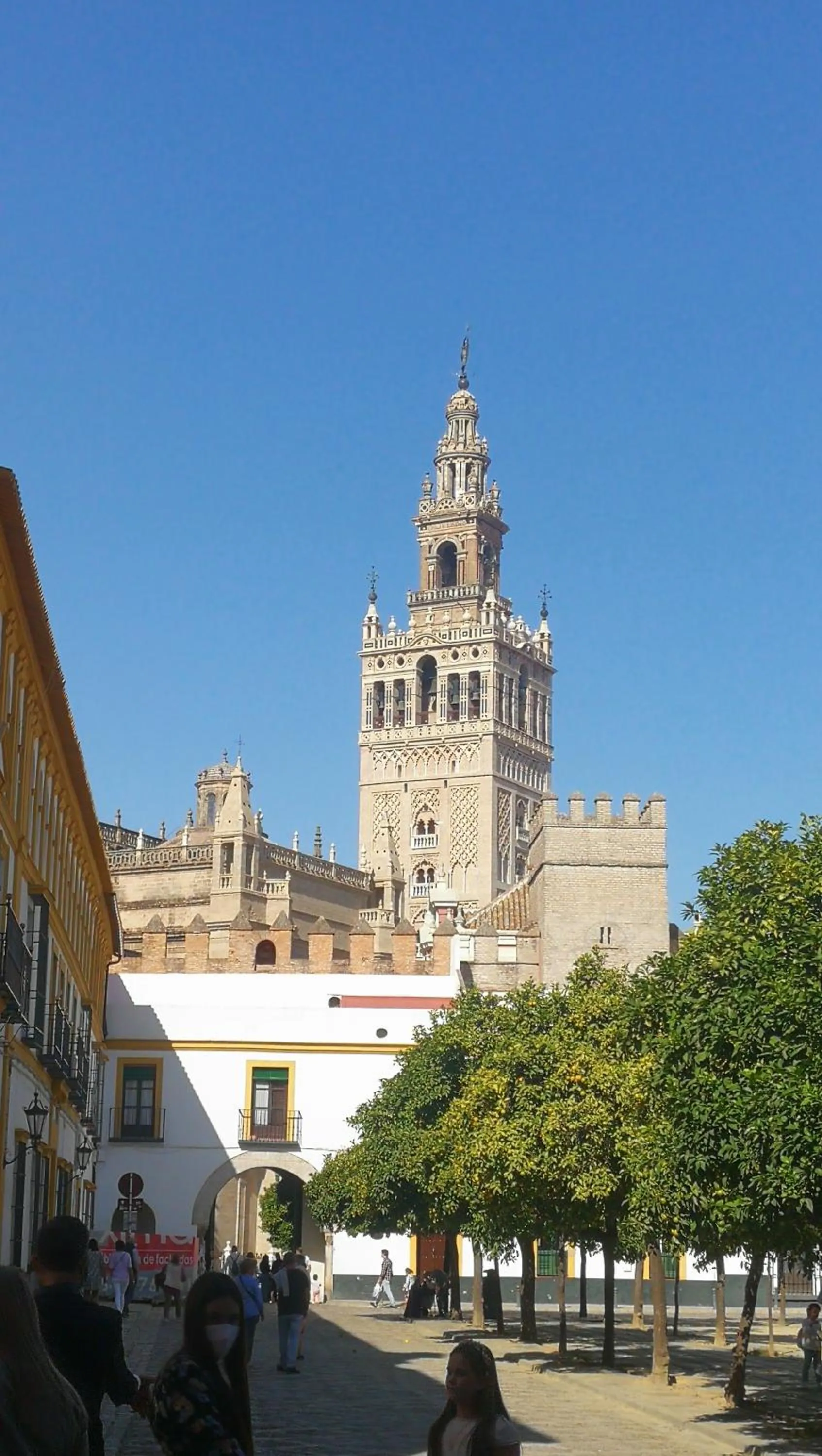 Apartamentos Flamenco B&B