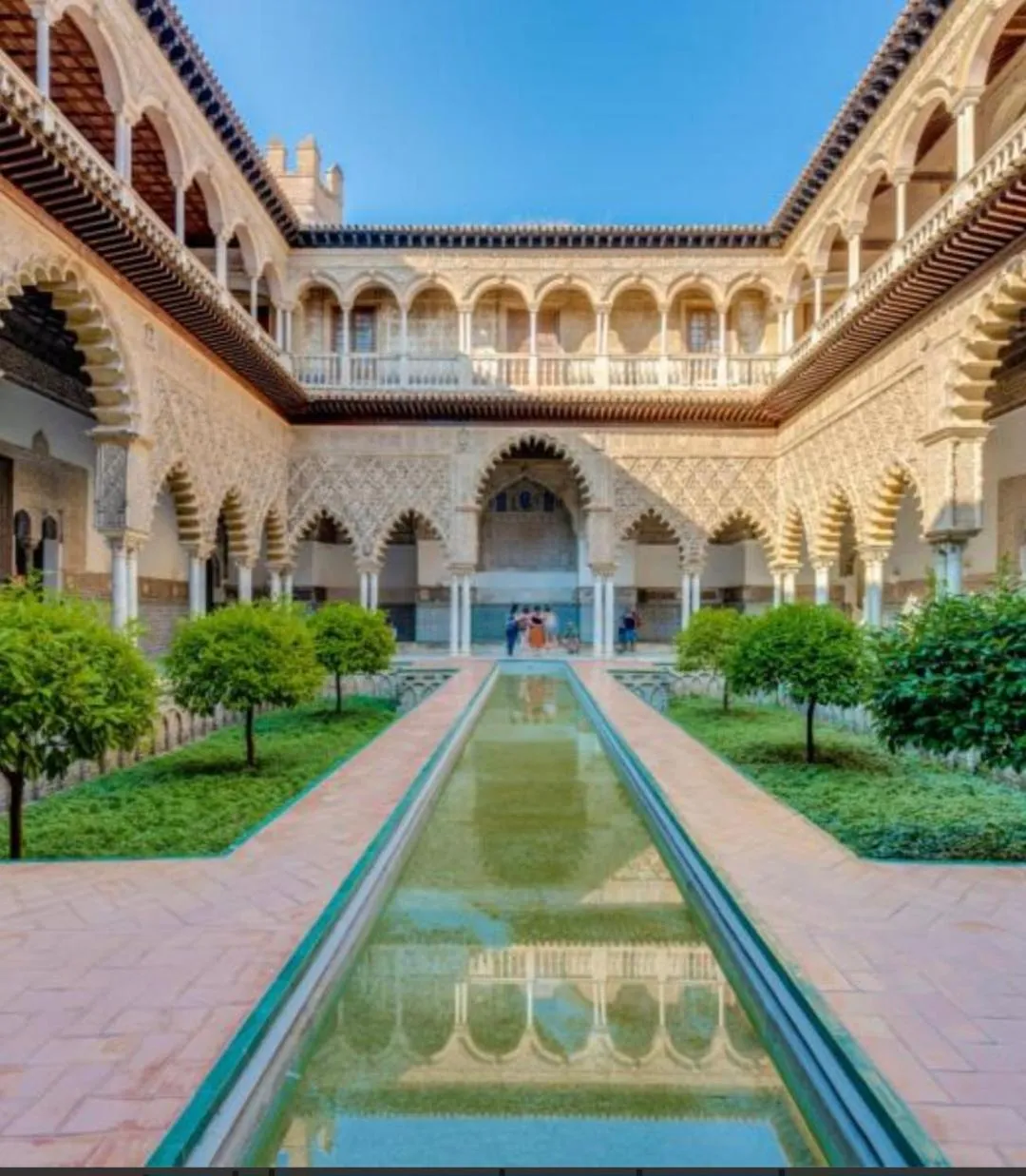 Apartamentos Flamenco B&B