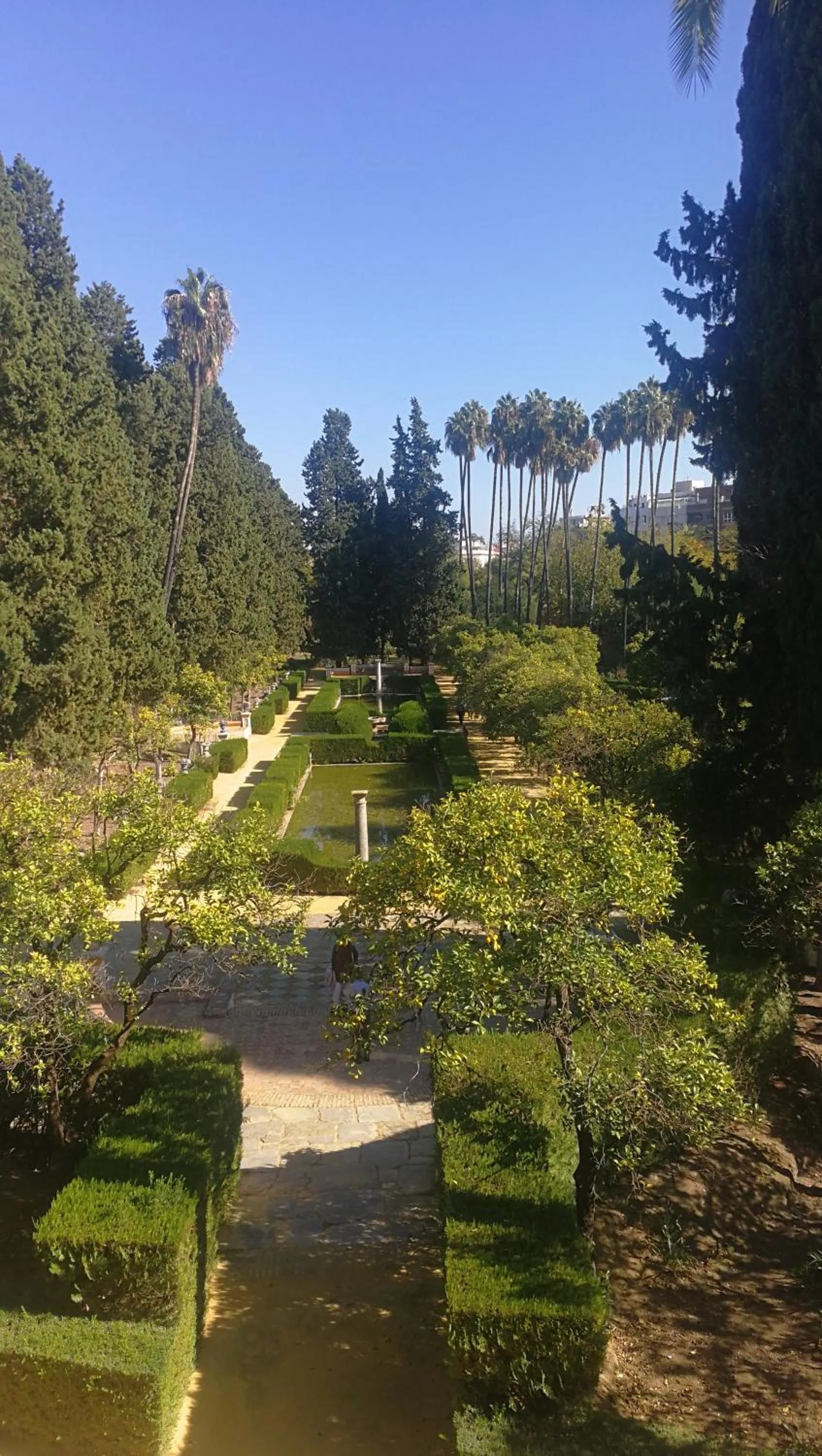 Apartamentos Flamenco B&B