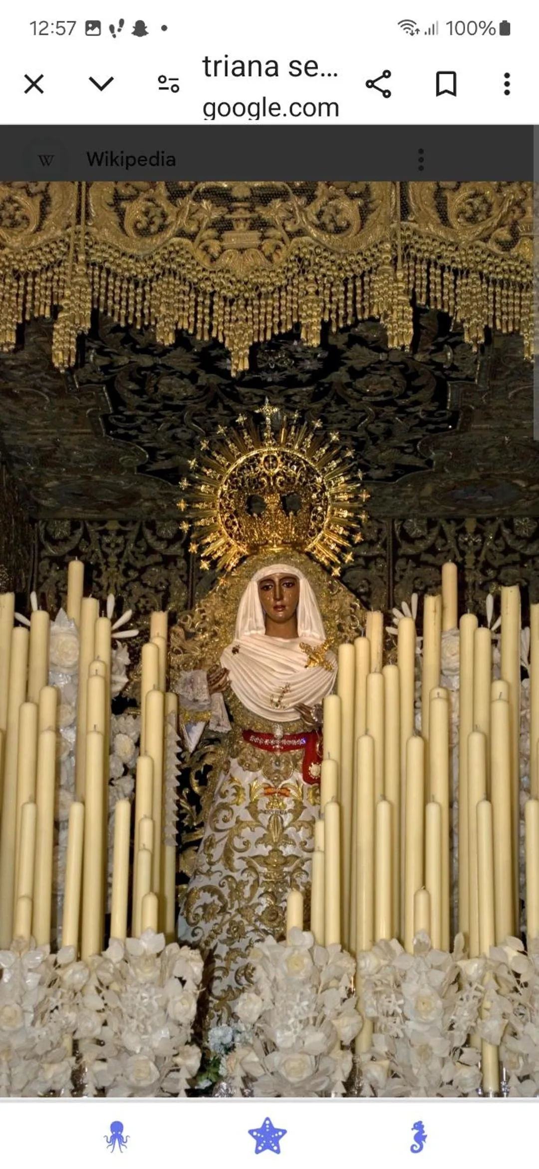 Apartamentos Flamenco B&B