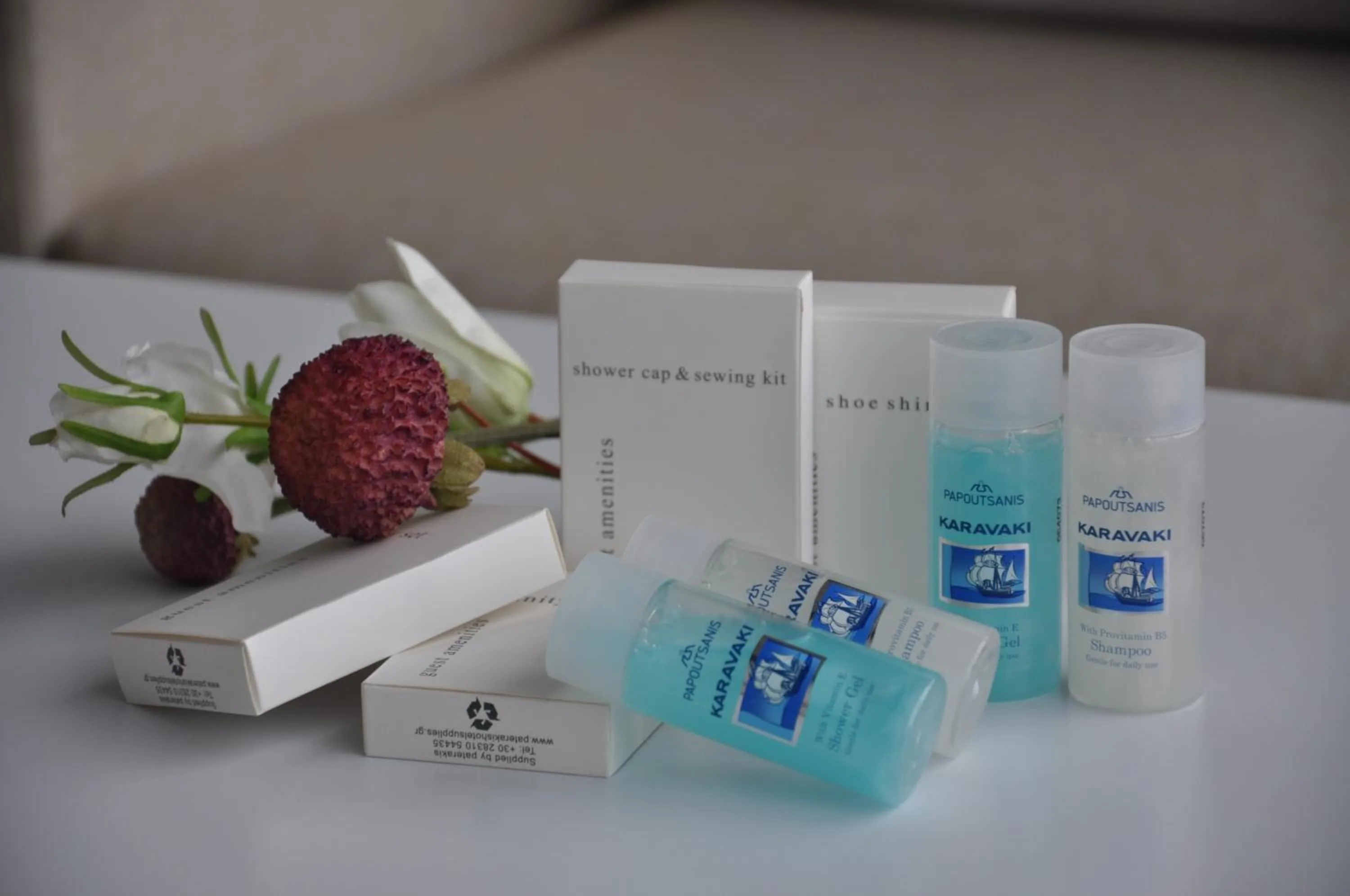 Decorative detail in Astron Hotel