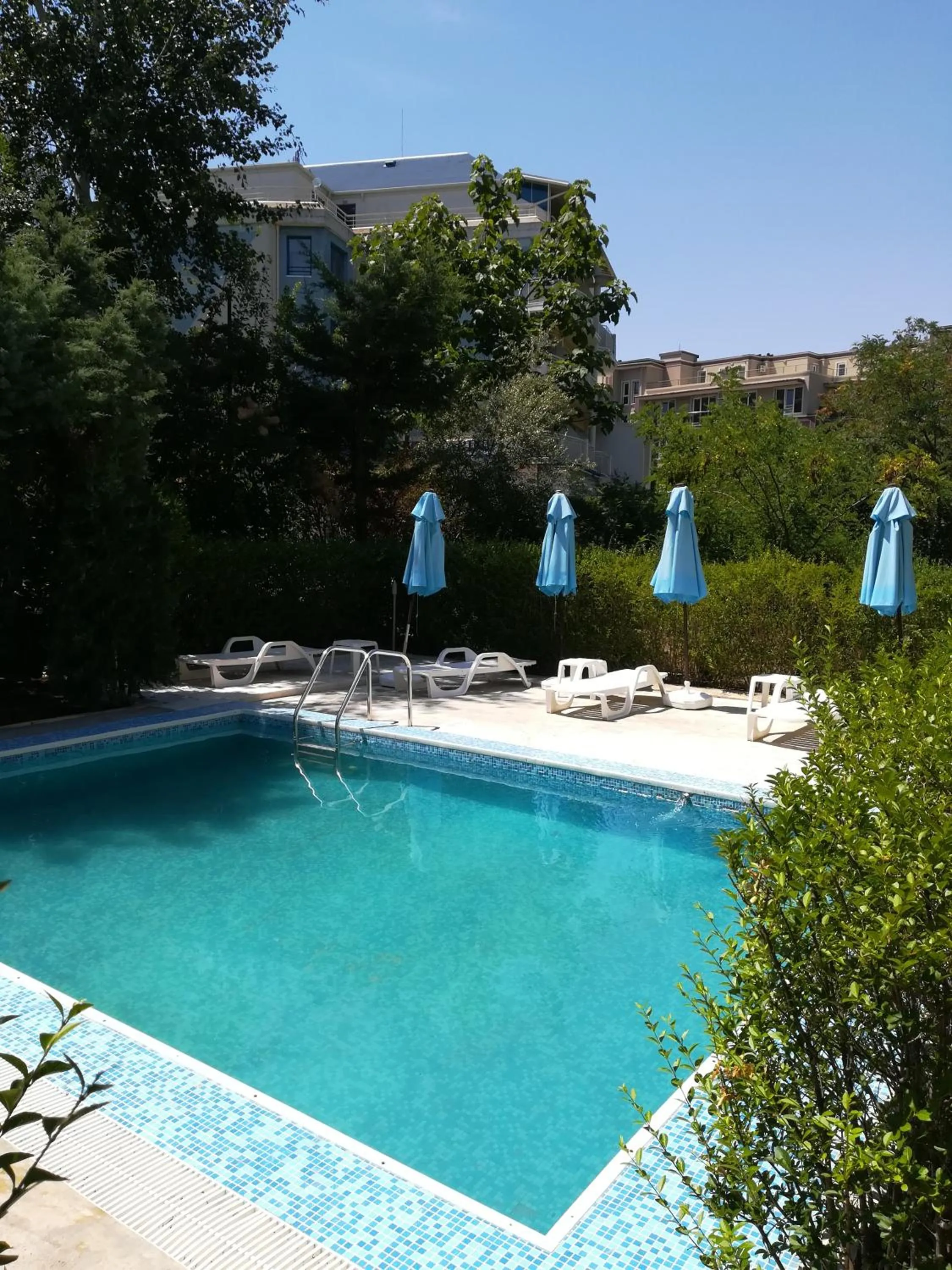 Swimming pool in Family Hotel Black Sea