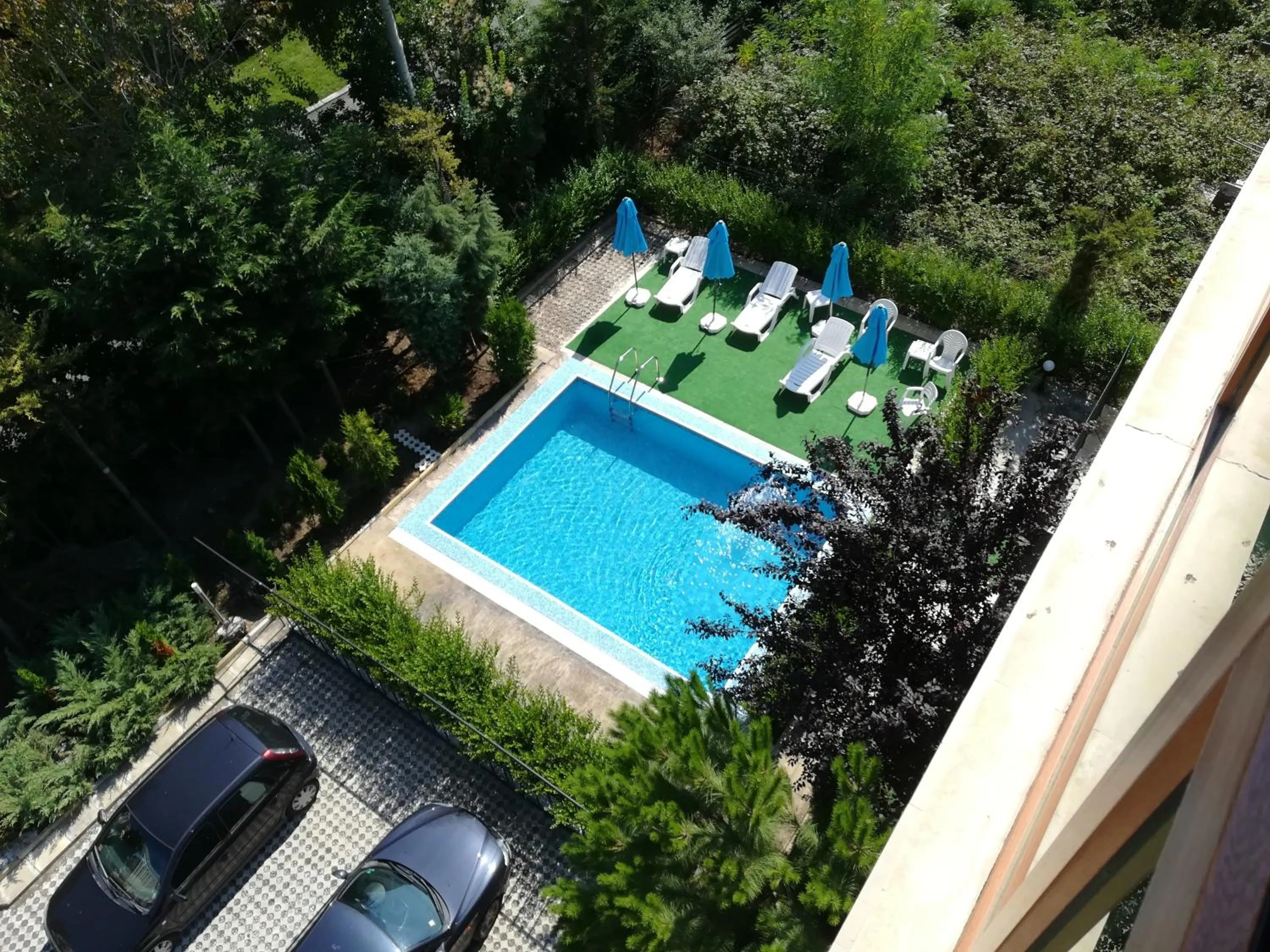 Swimming pool in Family Hotel Black Sea