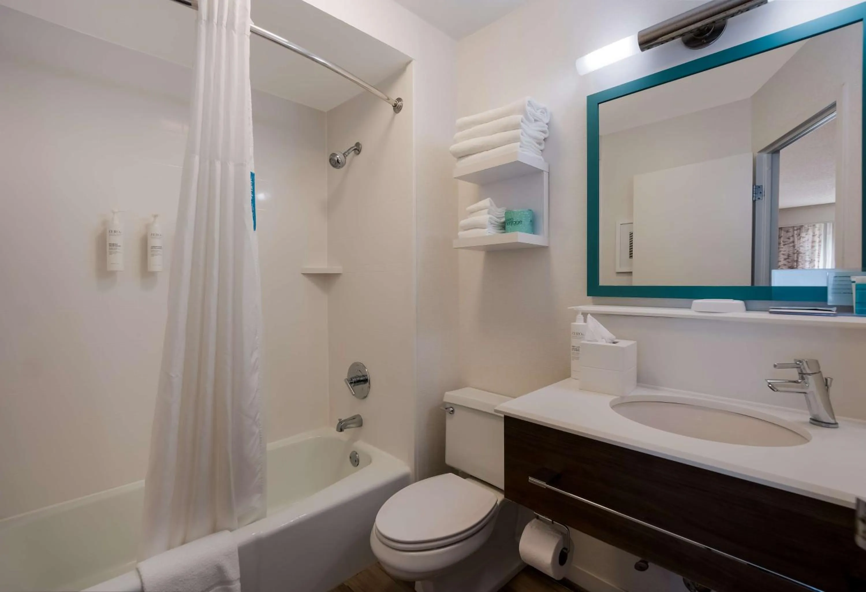 Bathroom in Hampton Inn Columbia-I-26 Airport