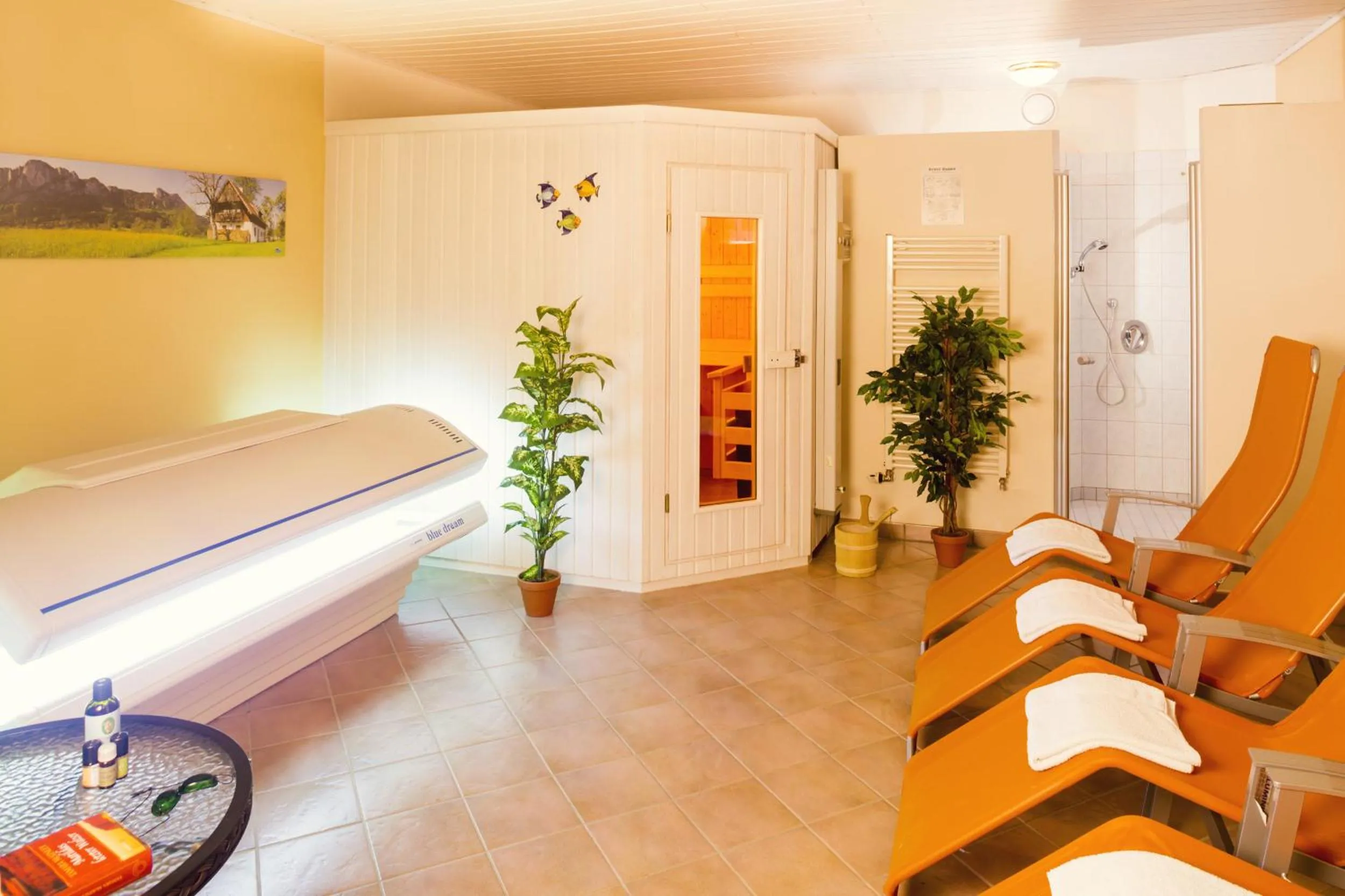 Sauna in Pension Anna