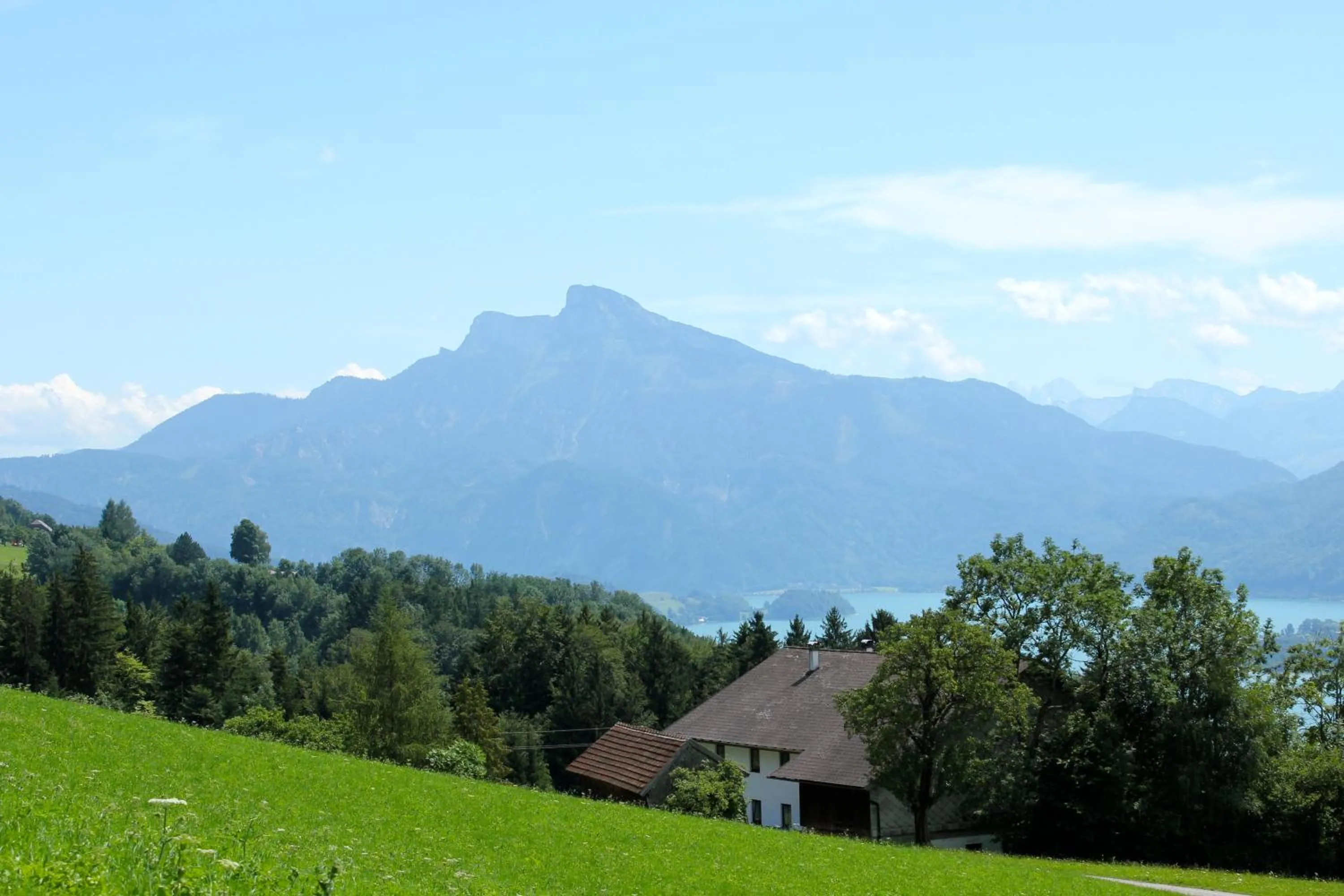 Natural landscape in Pension Anna