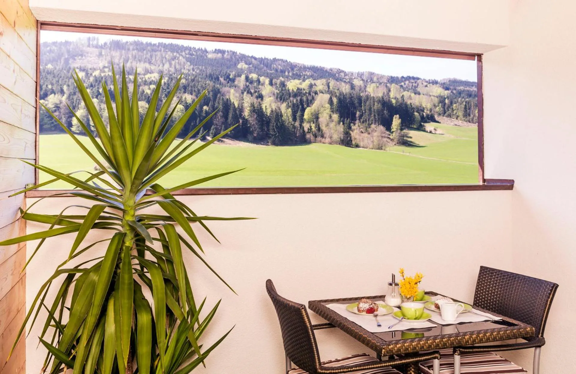 Restaurant/places to eat in Pension Anna