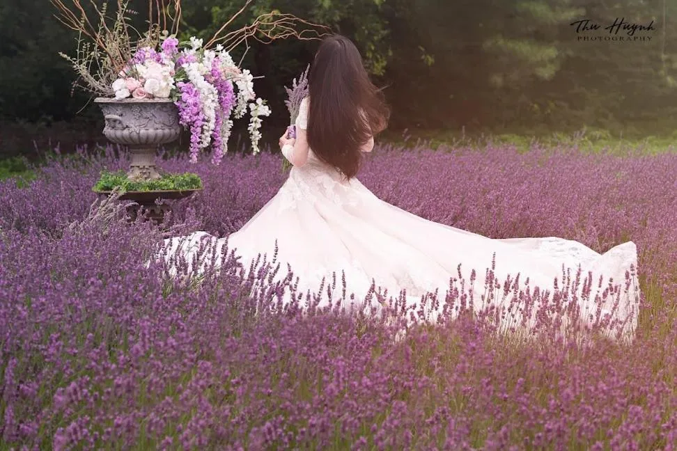 Garden in LeFay Cottage at Little Washington