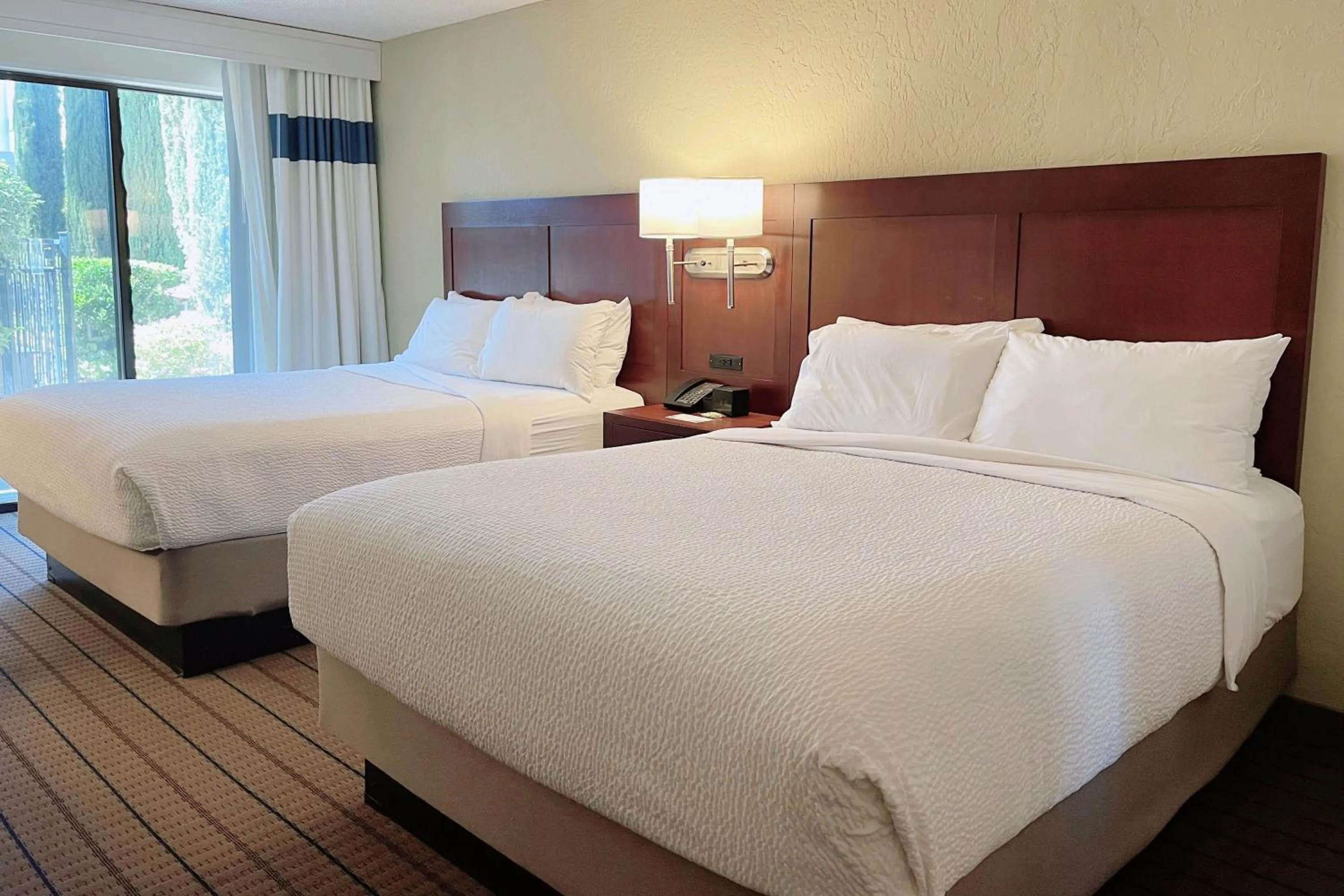 Photo of the whole room, Bed in Four Points by Sheraton San Rafael Marin County