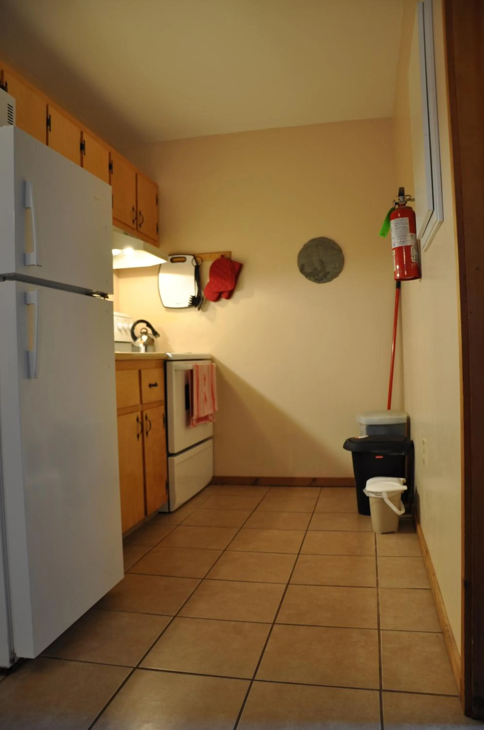 Kitchen or kitchenette in Powley's Wild Goose Lodge