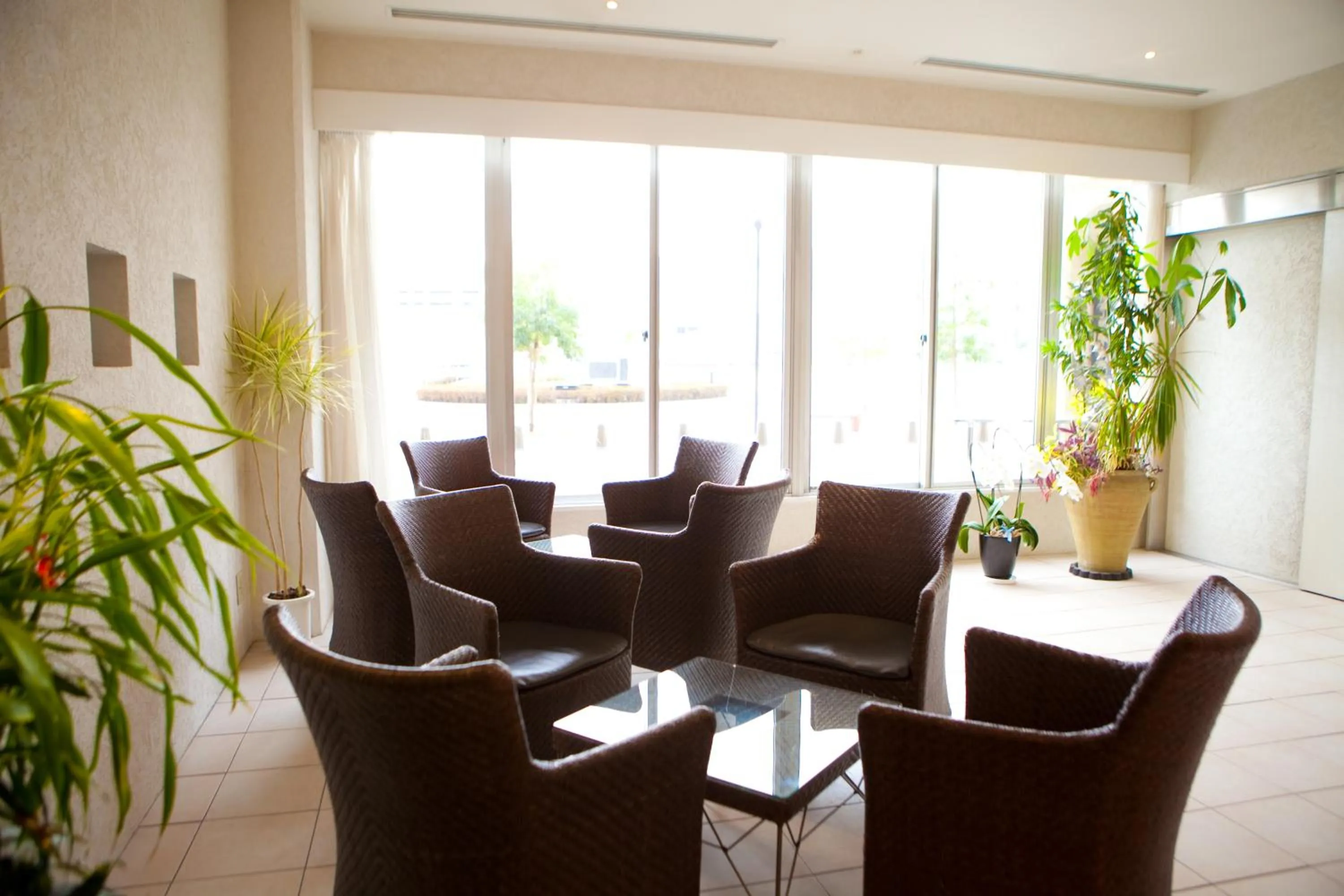 Lobby or reception in Hotel Aile