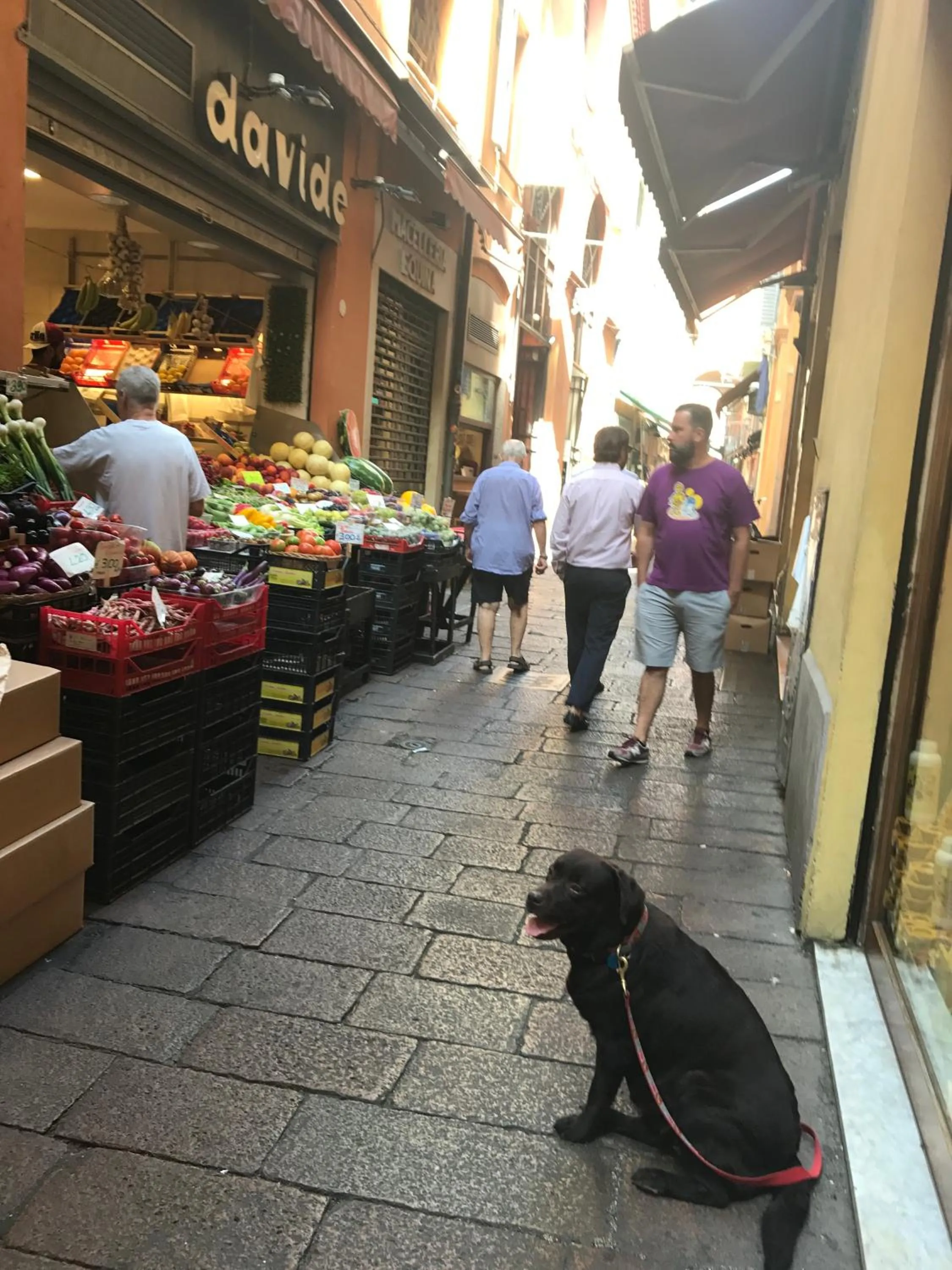 Pets in Casa Salbego R&B