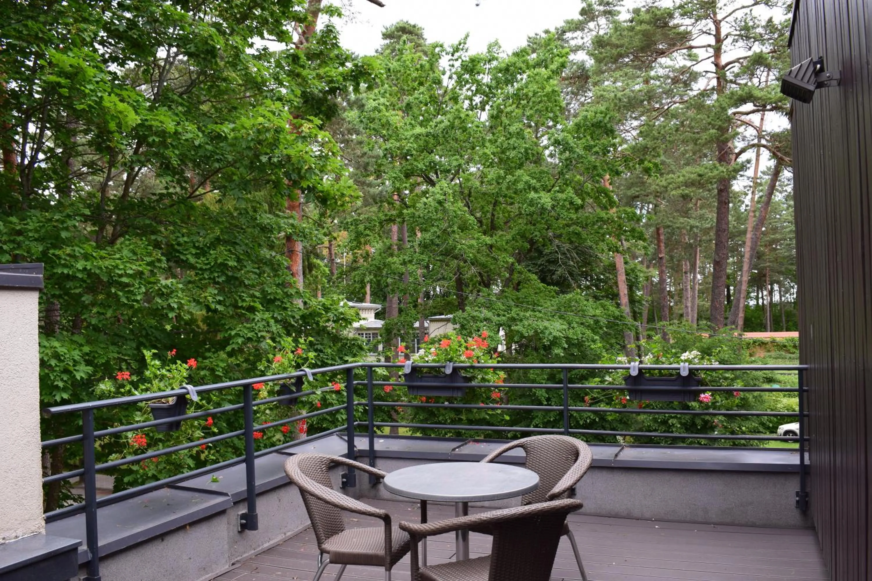 View (from property/room) in Amber Sea Hotel & SPA