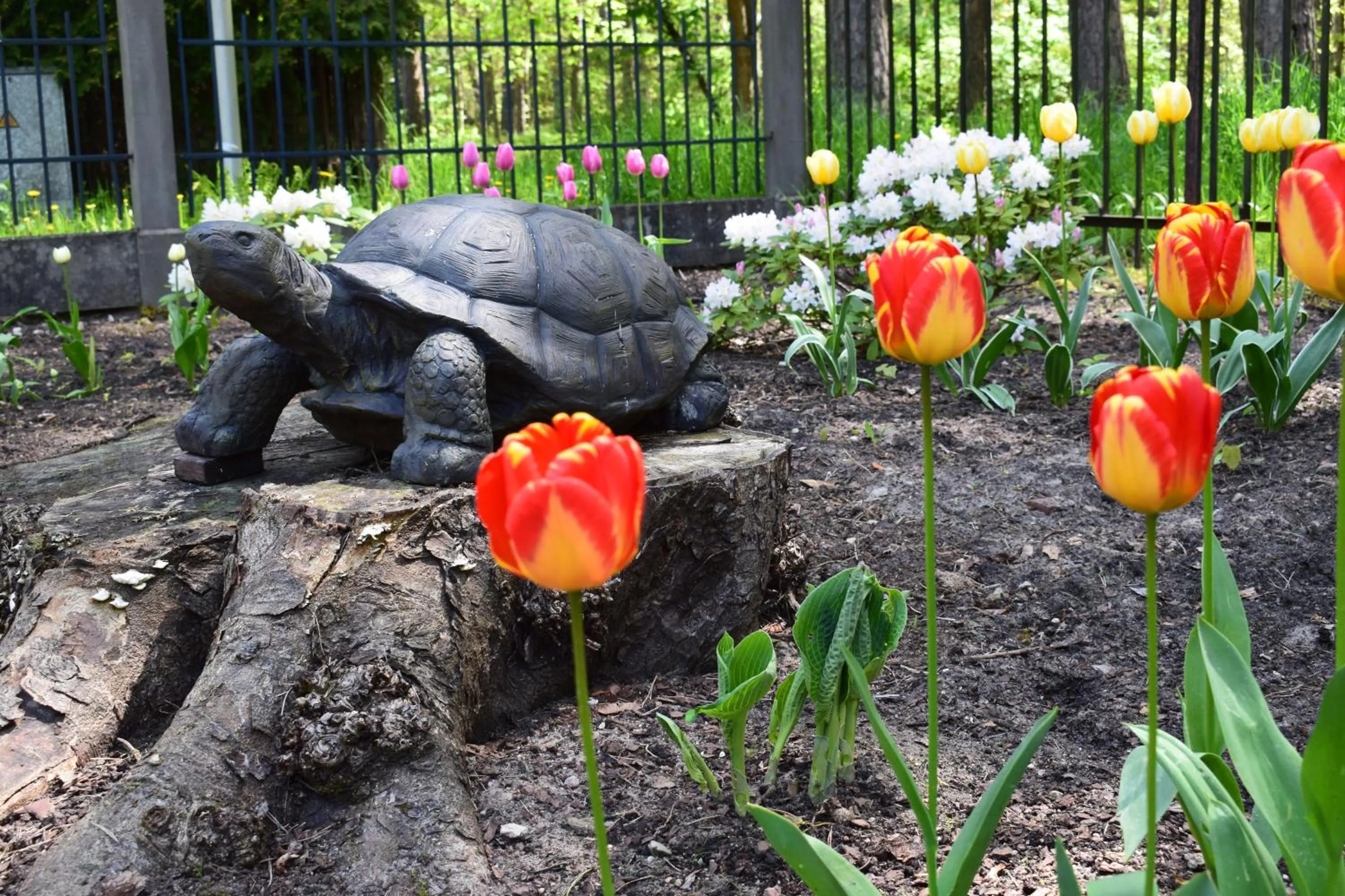 Decorative detail in Amber Sea Hotel & SPA