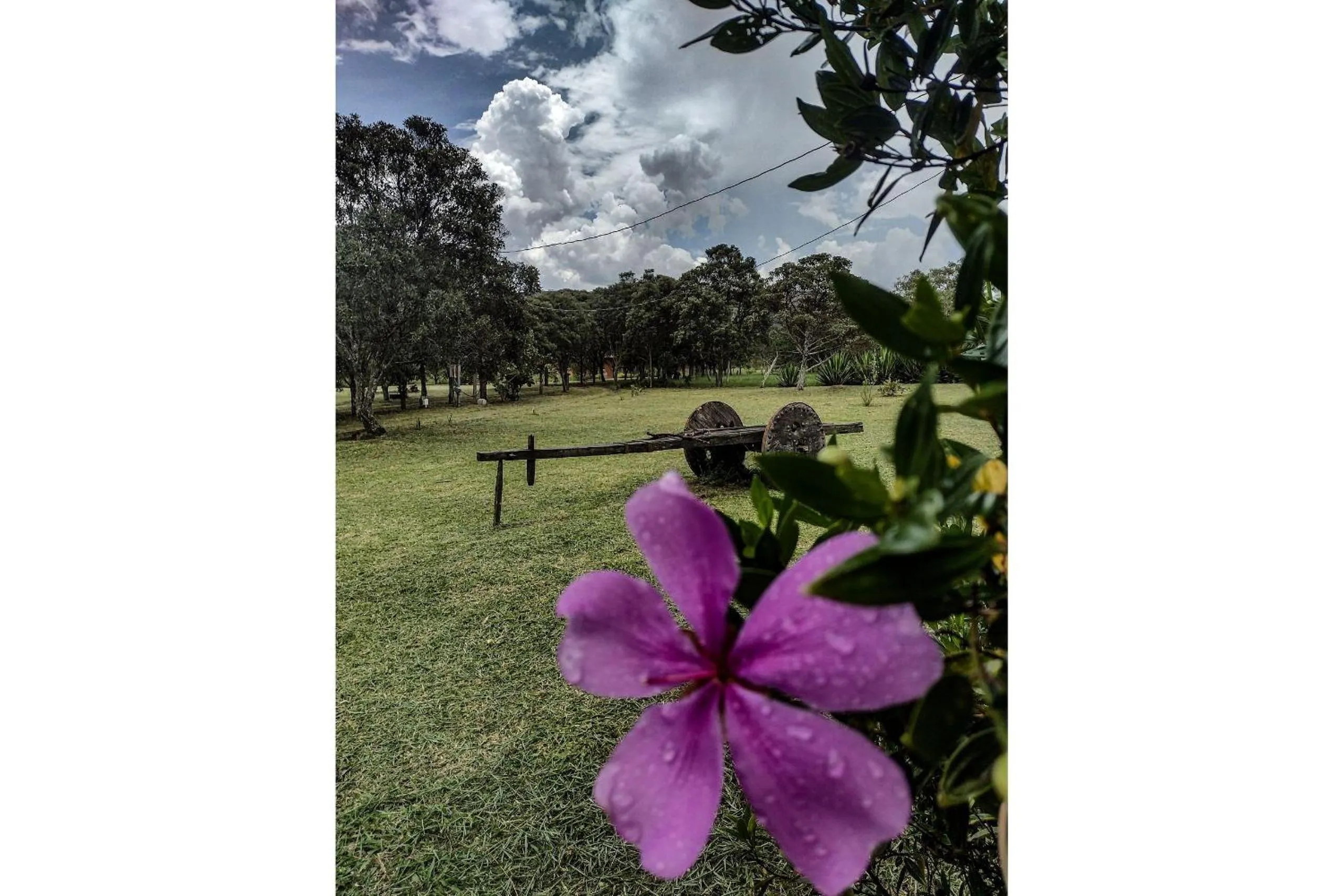 Area and facilities in Pousada Chalé Terra Viva